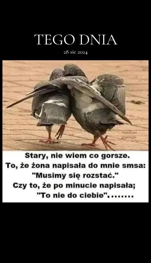 @wulgarna_81