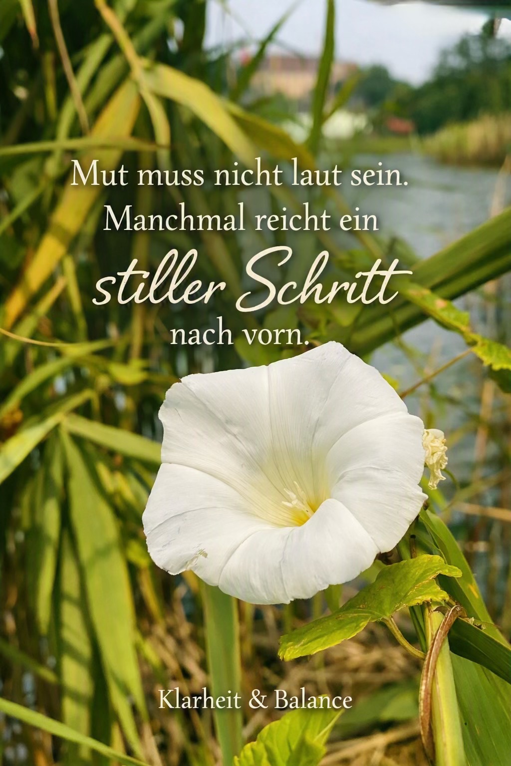 @Lily🇩🇪🇹🇭 ที่นี่มีกำลังใจ💕