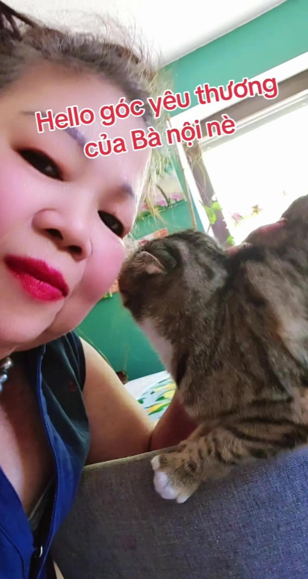 @Bạch yến hoàng