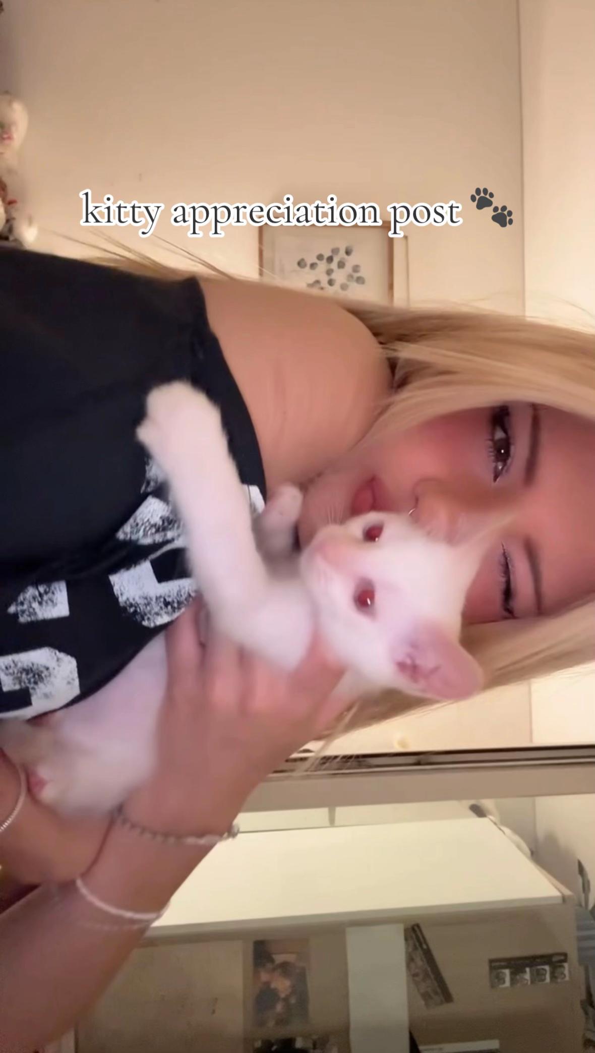 @rynn_
