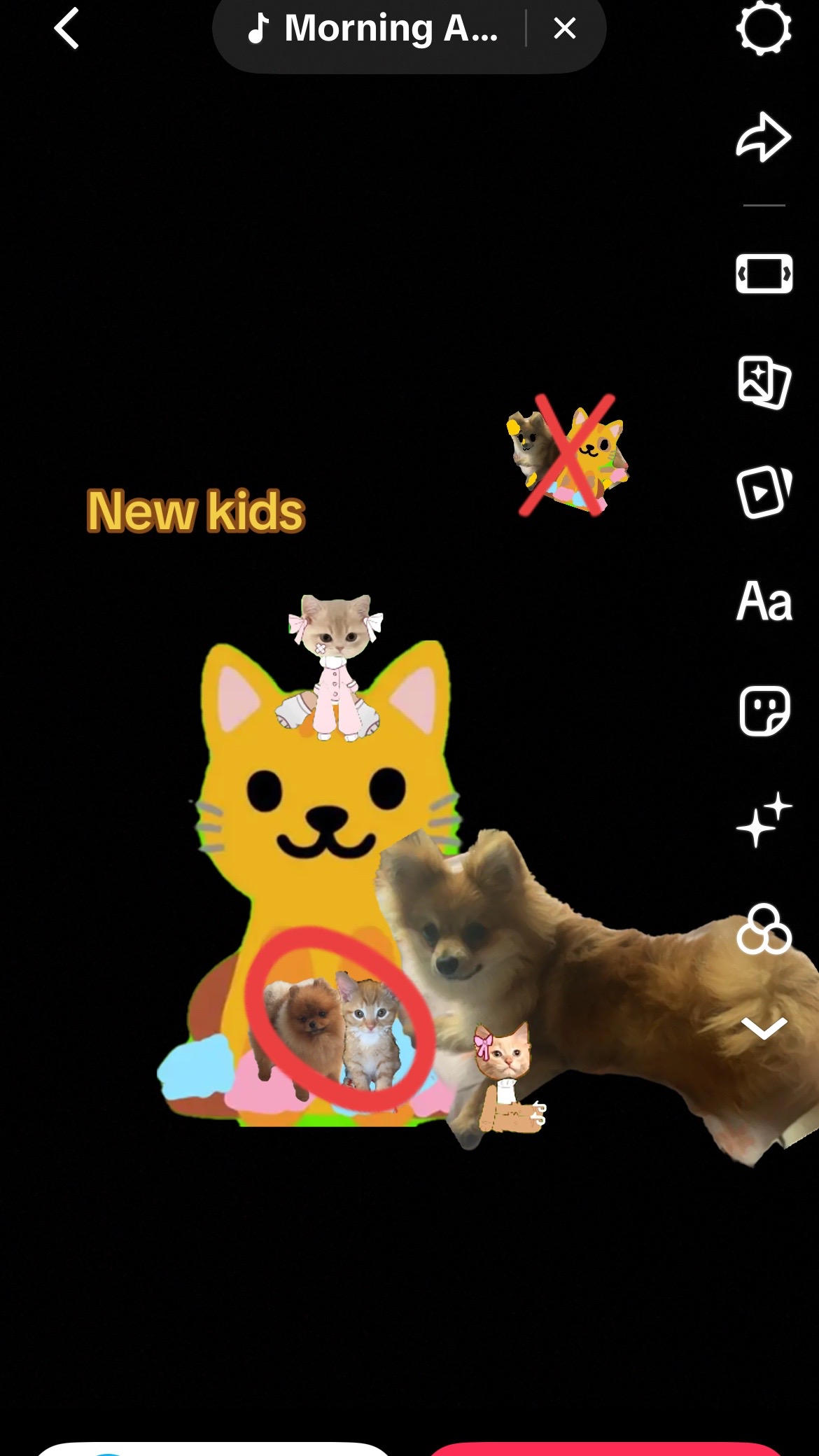 @Cici cool cat