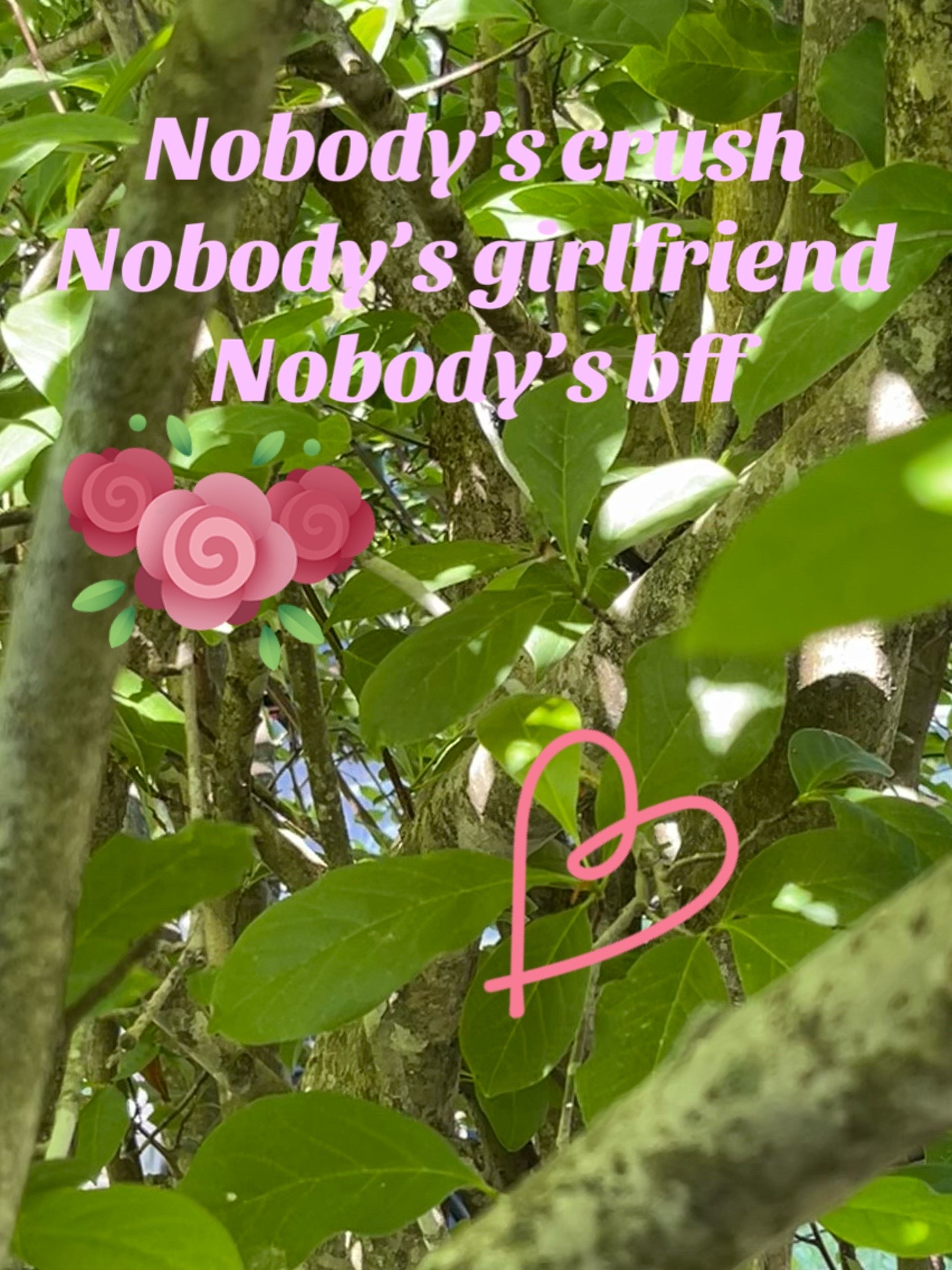 @๐๐