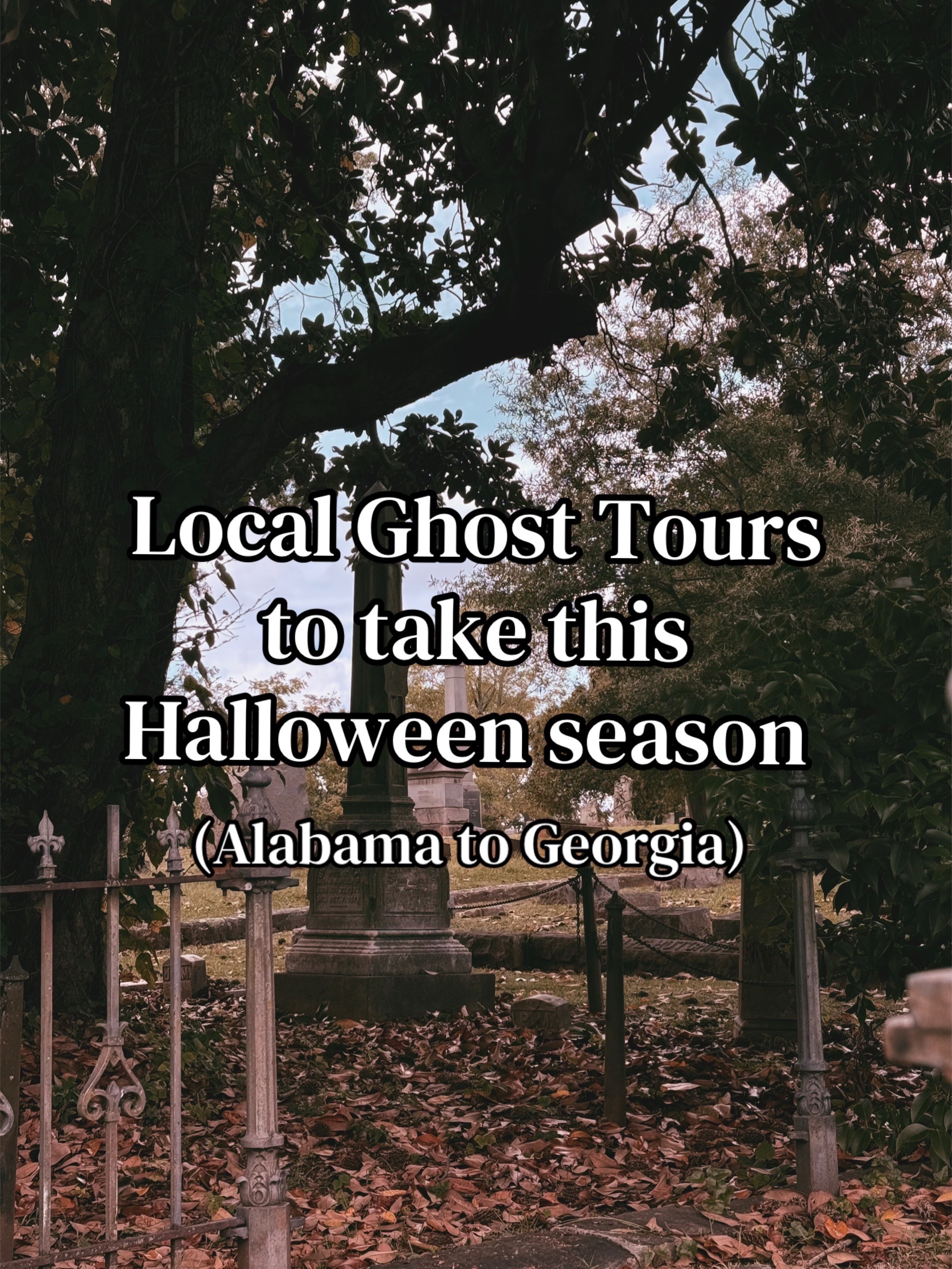 @The Ghoul Guide