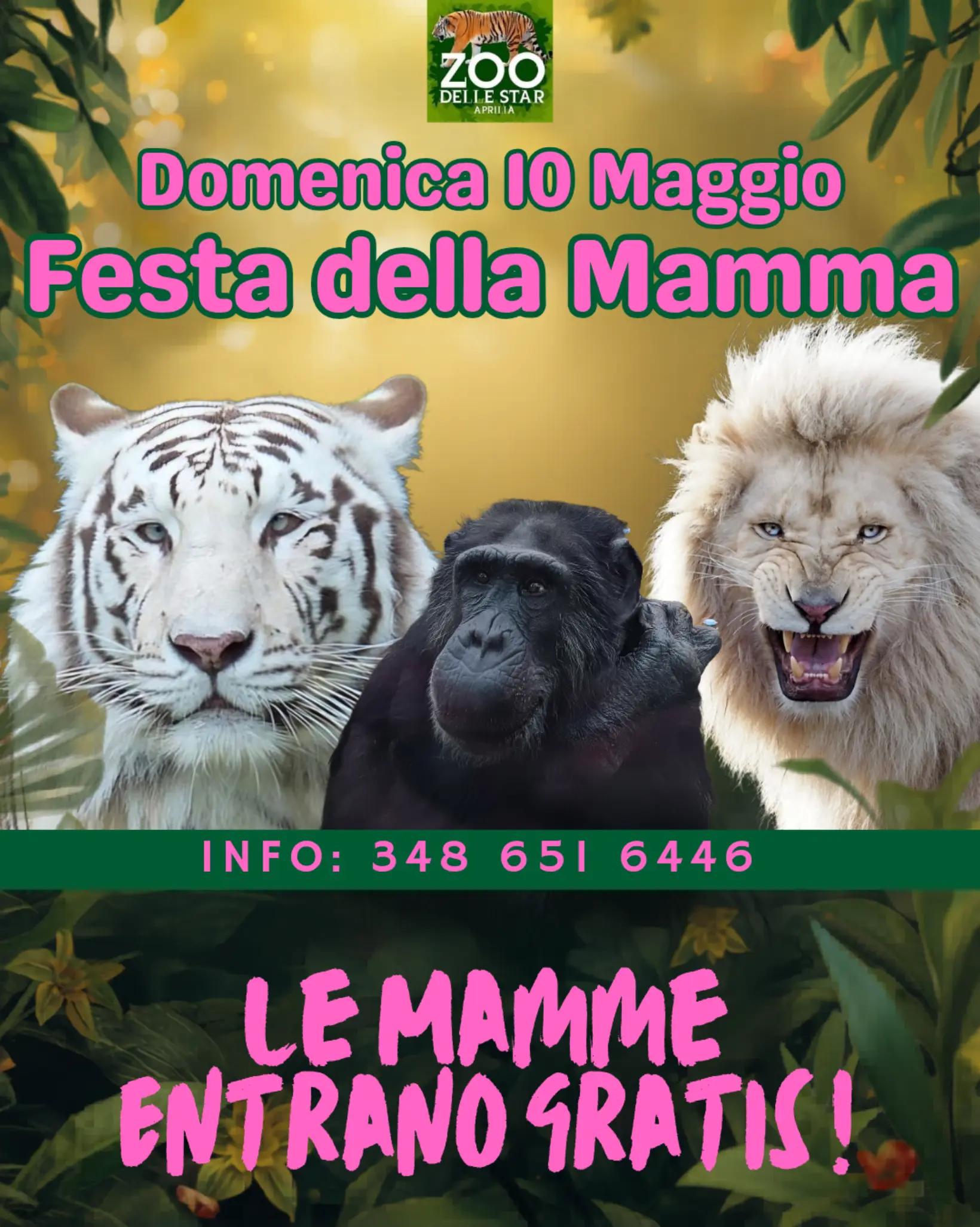 @Parco Zoo delle Star