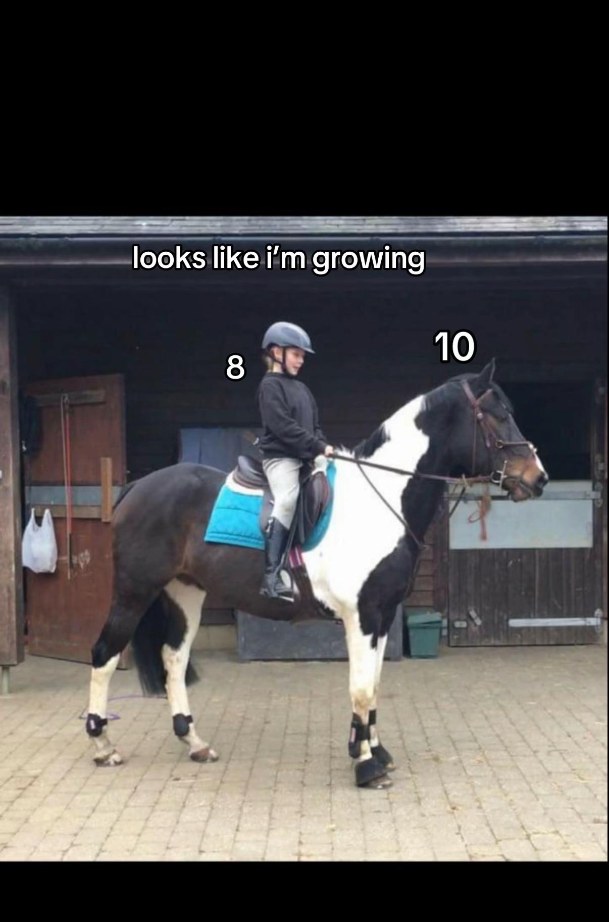 @Jodie🐴🌾