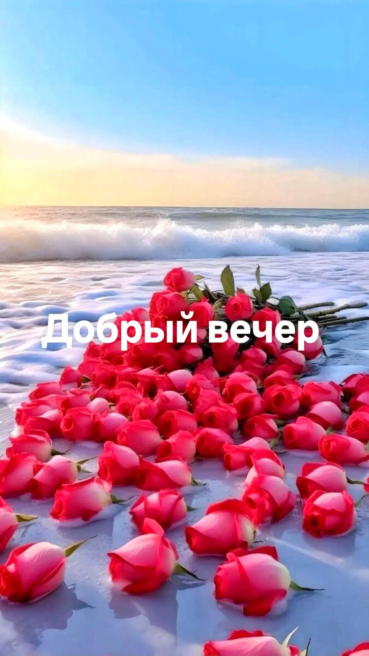 @Jelena Jermolajeva