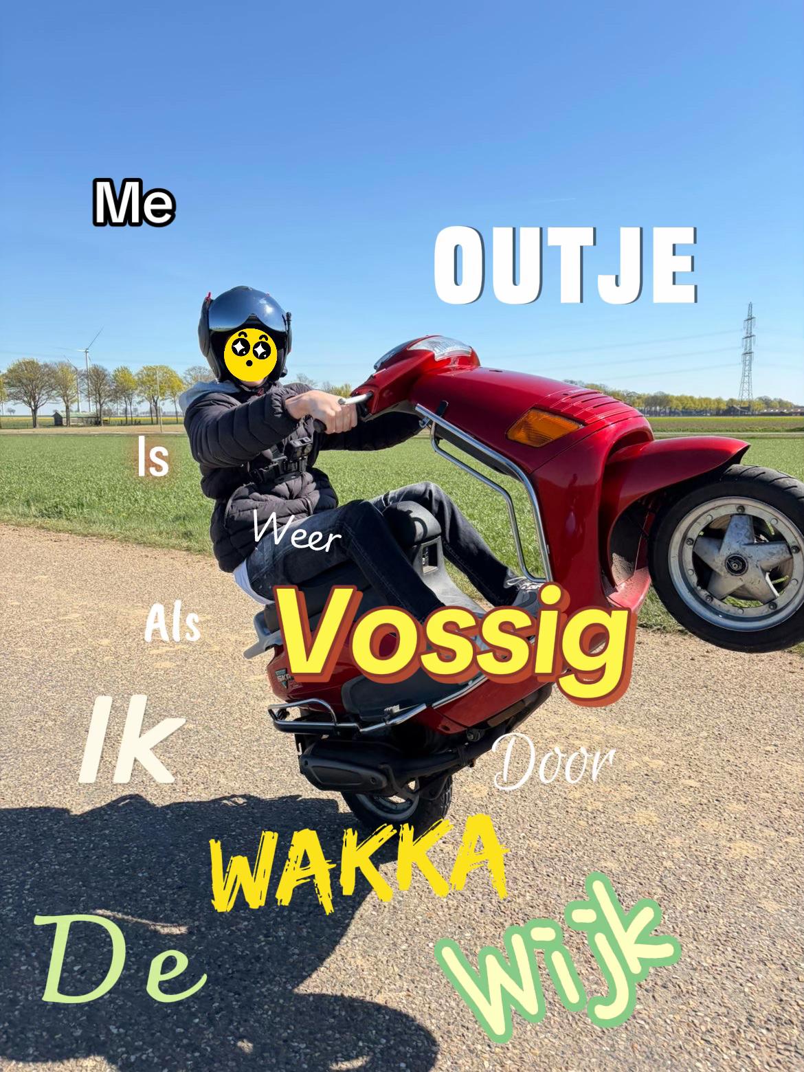 @Mopde172iget
