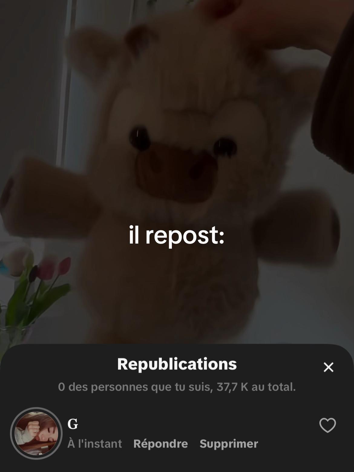 @🌟