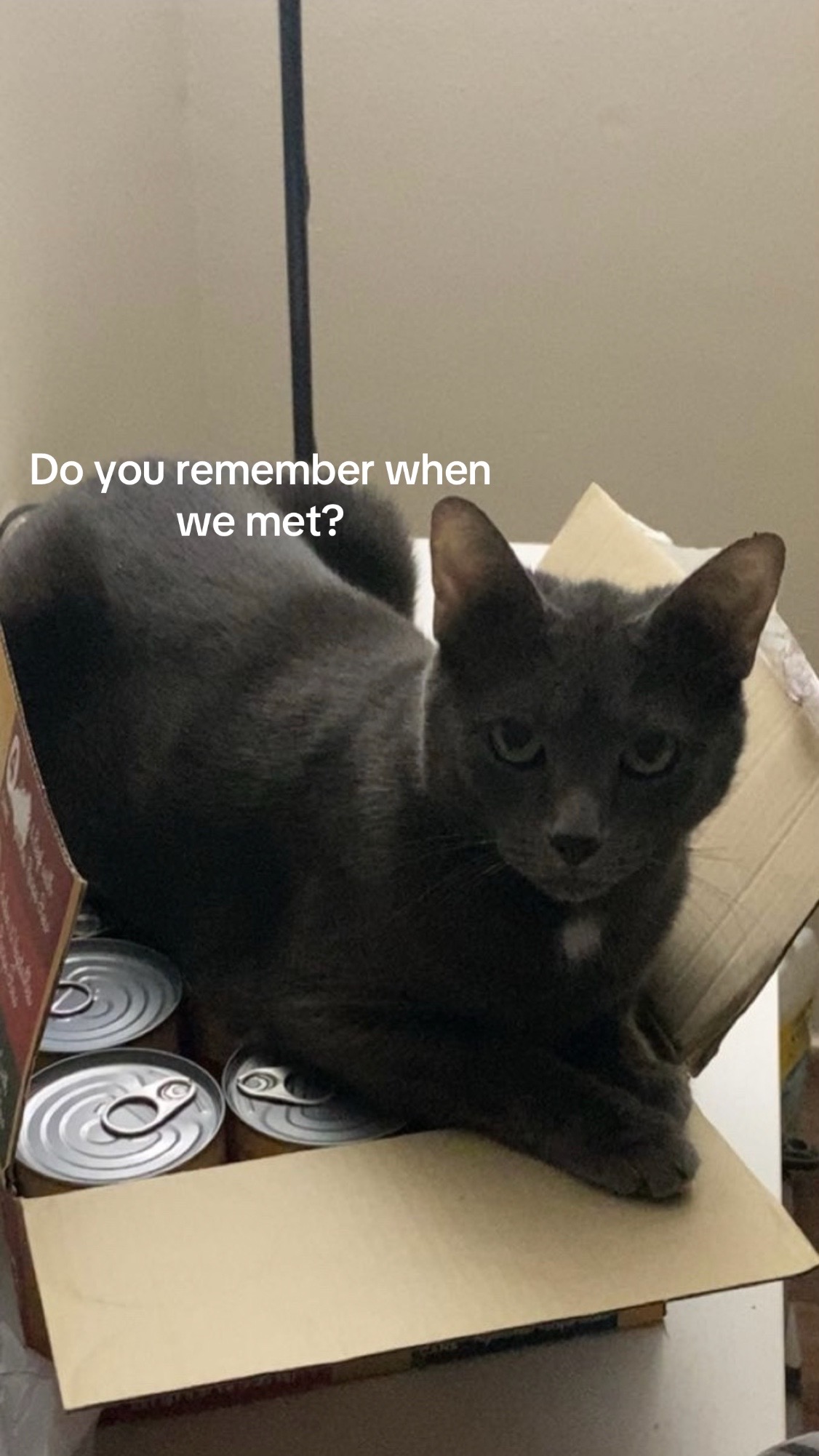 @𝓢𝓮𝓻𝓮𝓷𝓪
