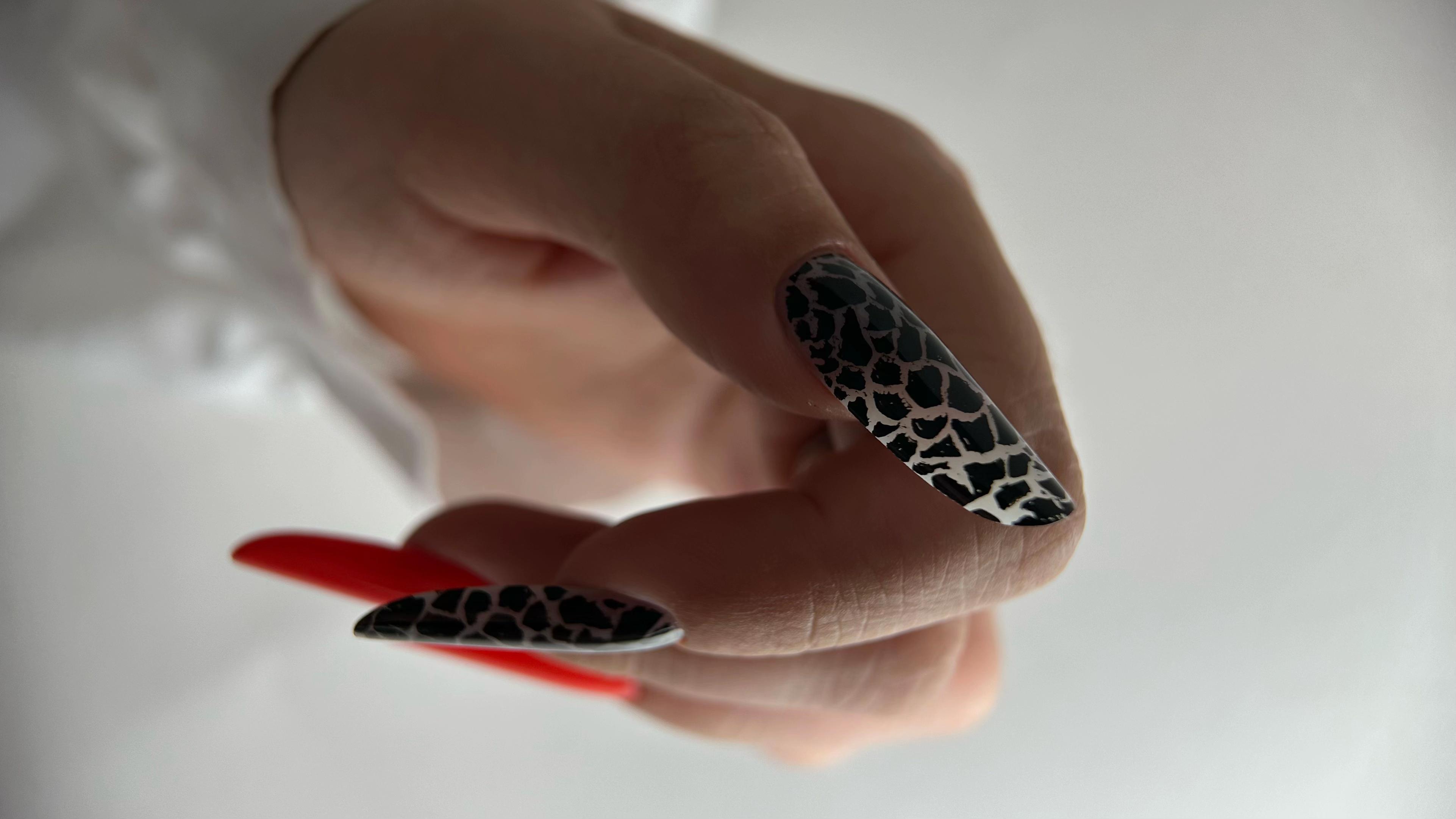 @Oana Cimponerescu.Nail Trainer