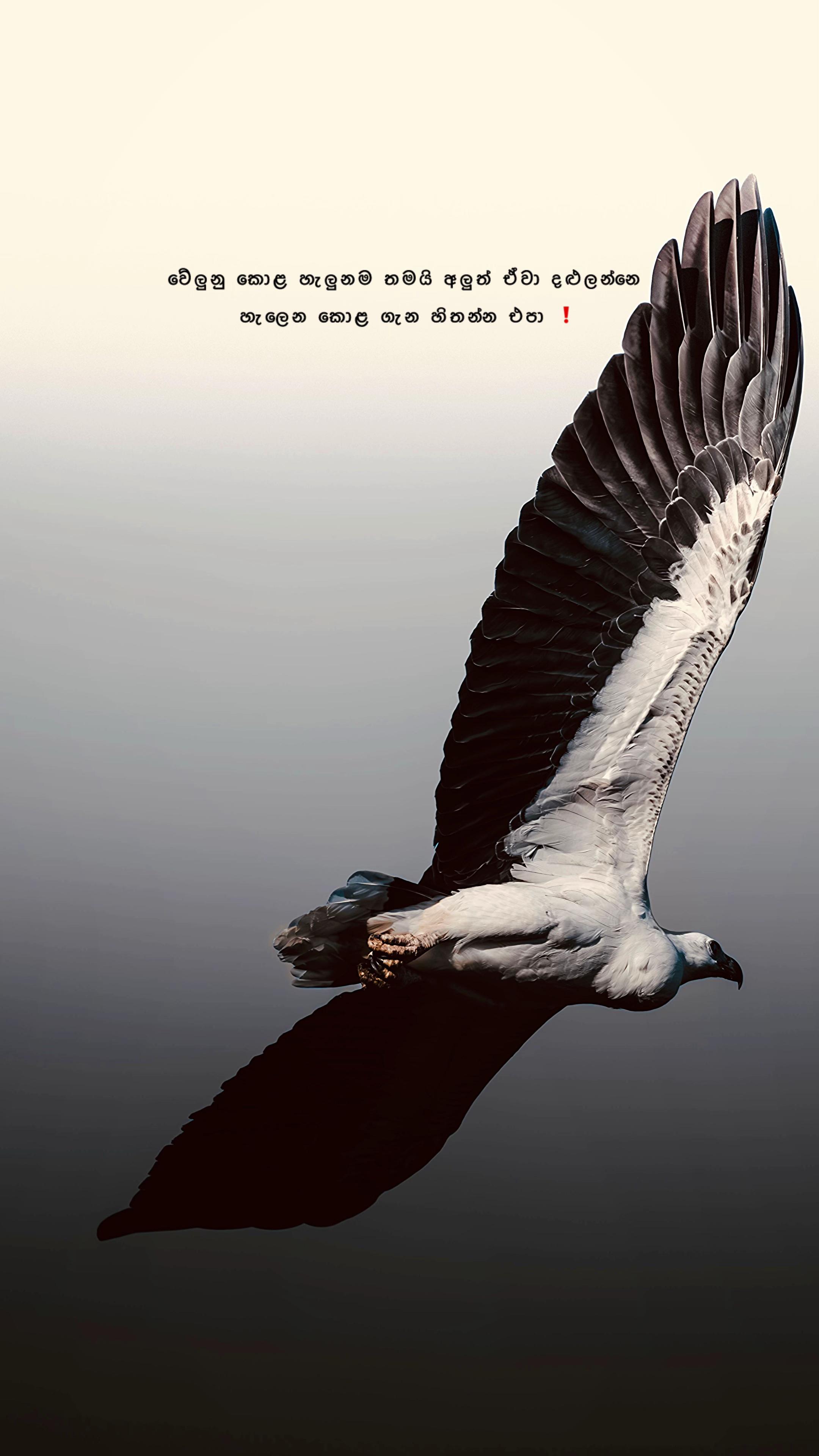 @Diary of Ravindu ๐๐๐จ"