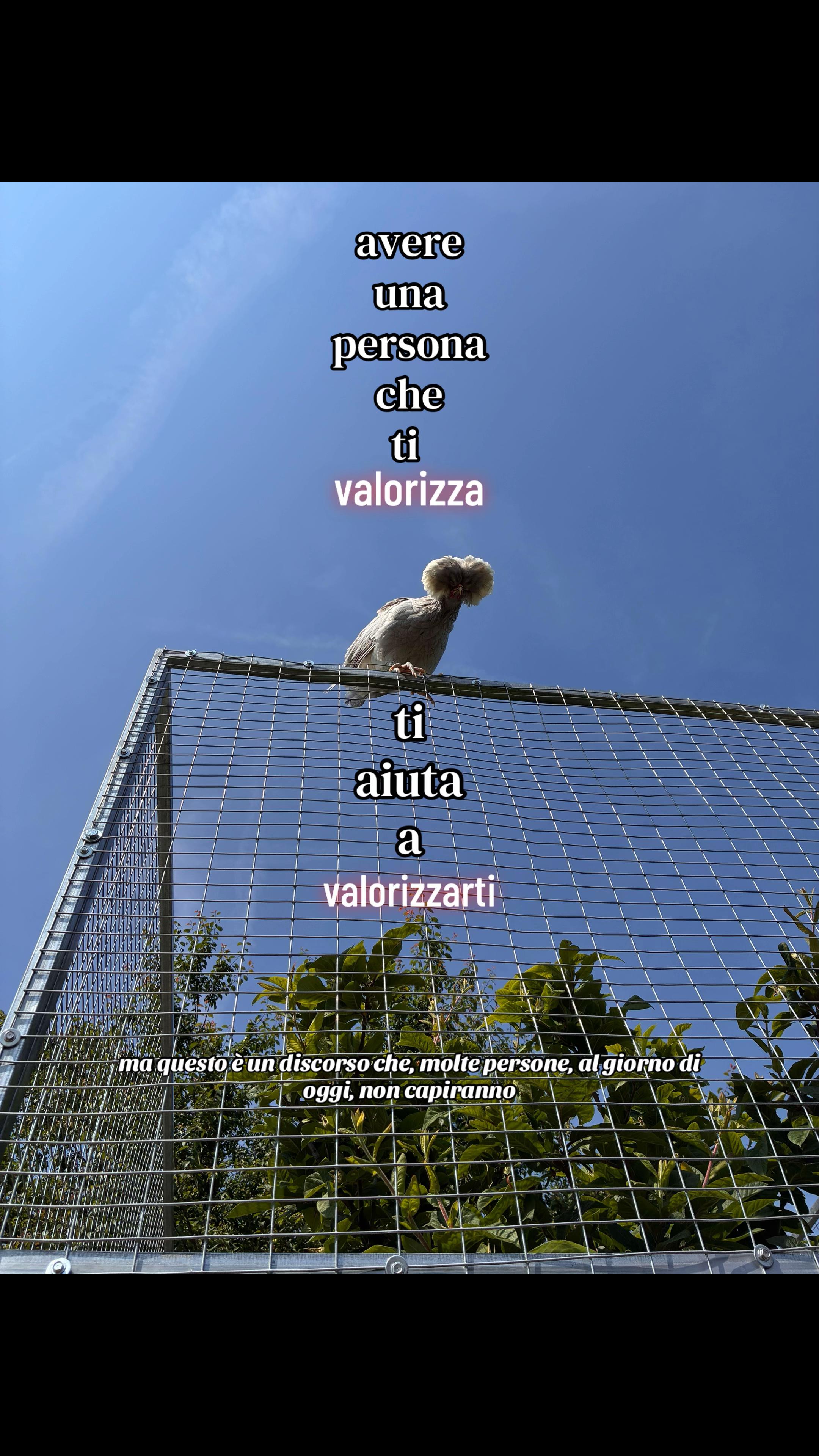 @!iaia&rsquo;s wife&iexcl;