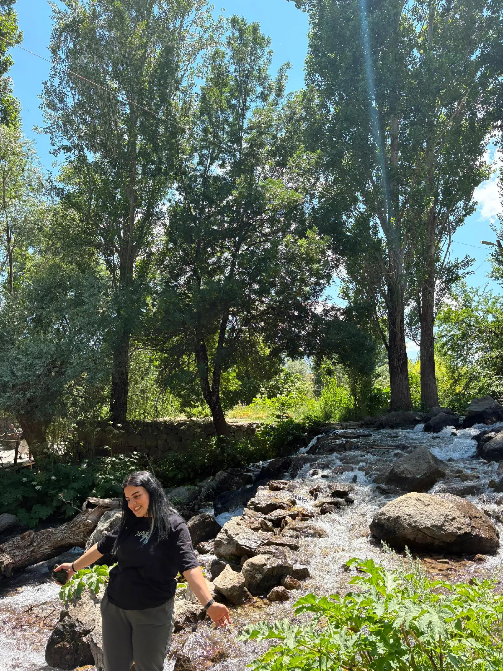 @Melek Tanrıkullu