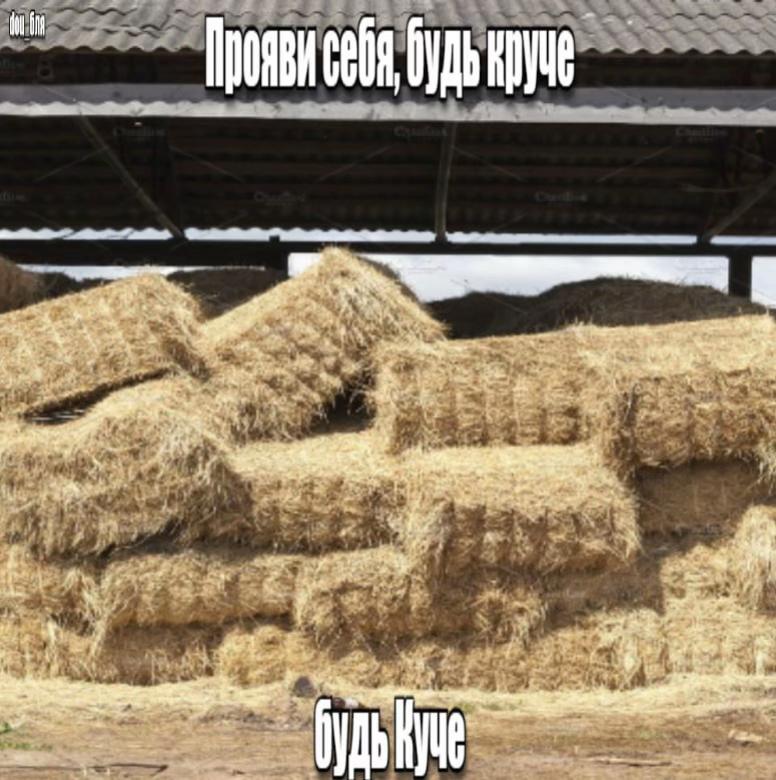 @dou_бля