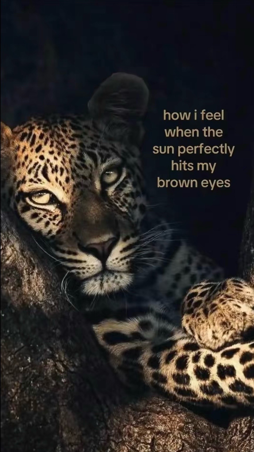@𝒦𝒶𝓎𝓁𝒾𝓃𝜗𝜚
