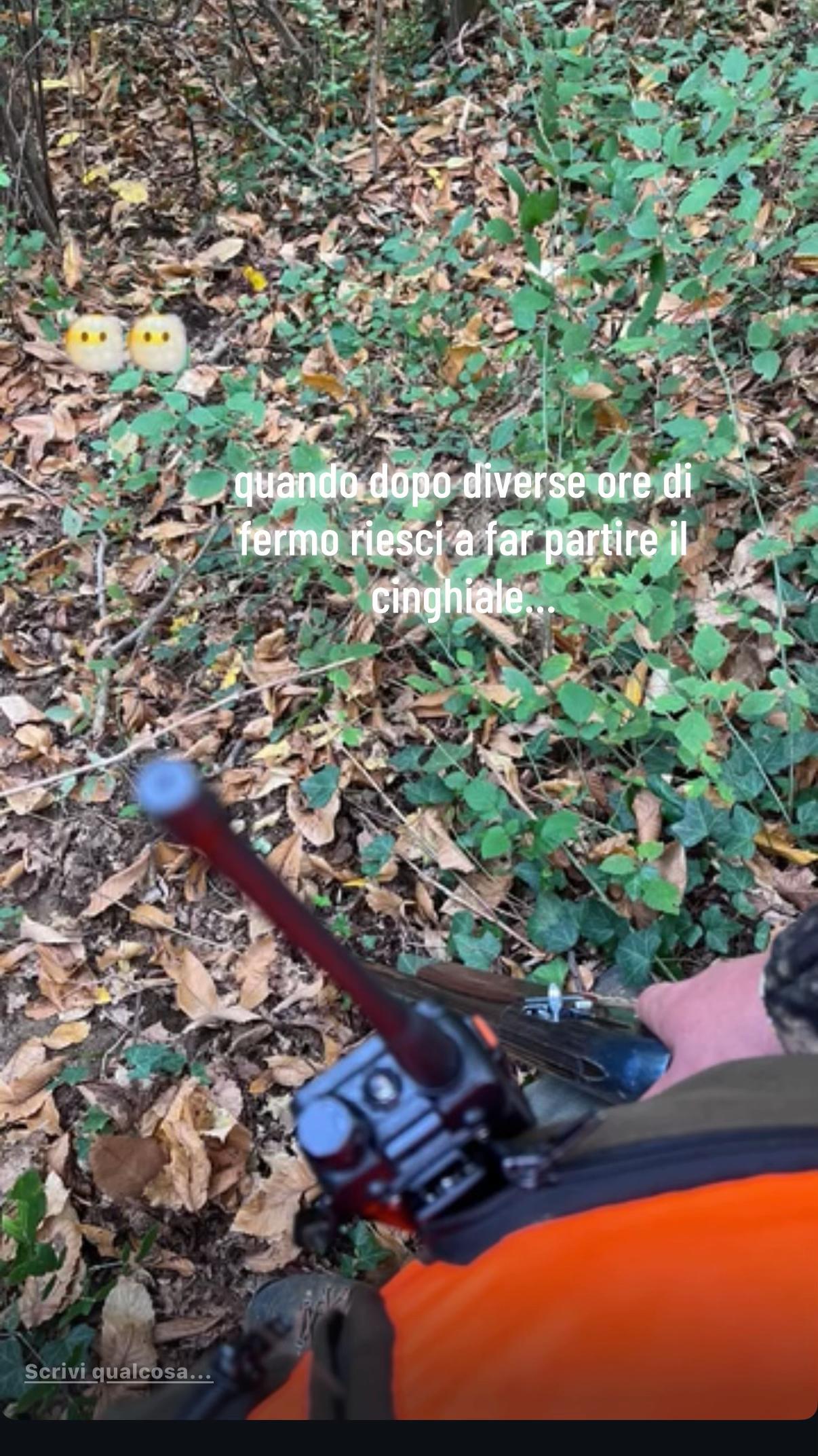 @GC🥷
