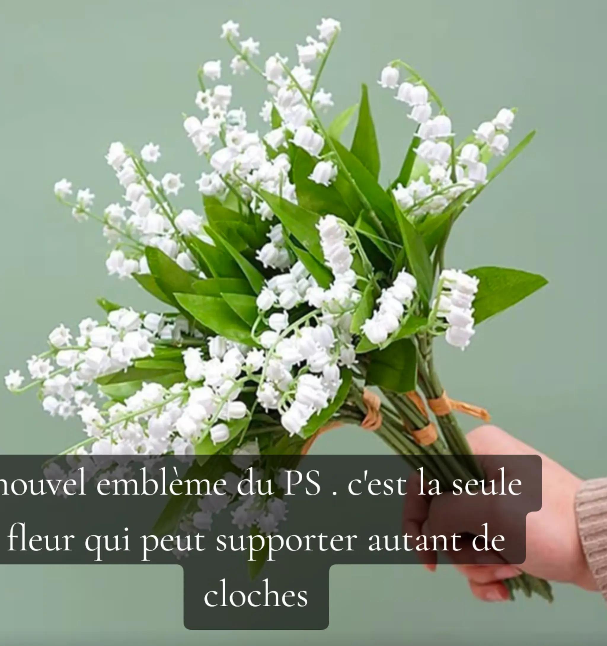 @Micheldeguerande