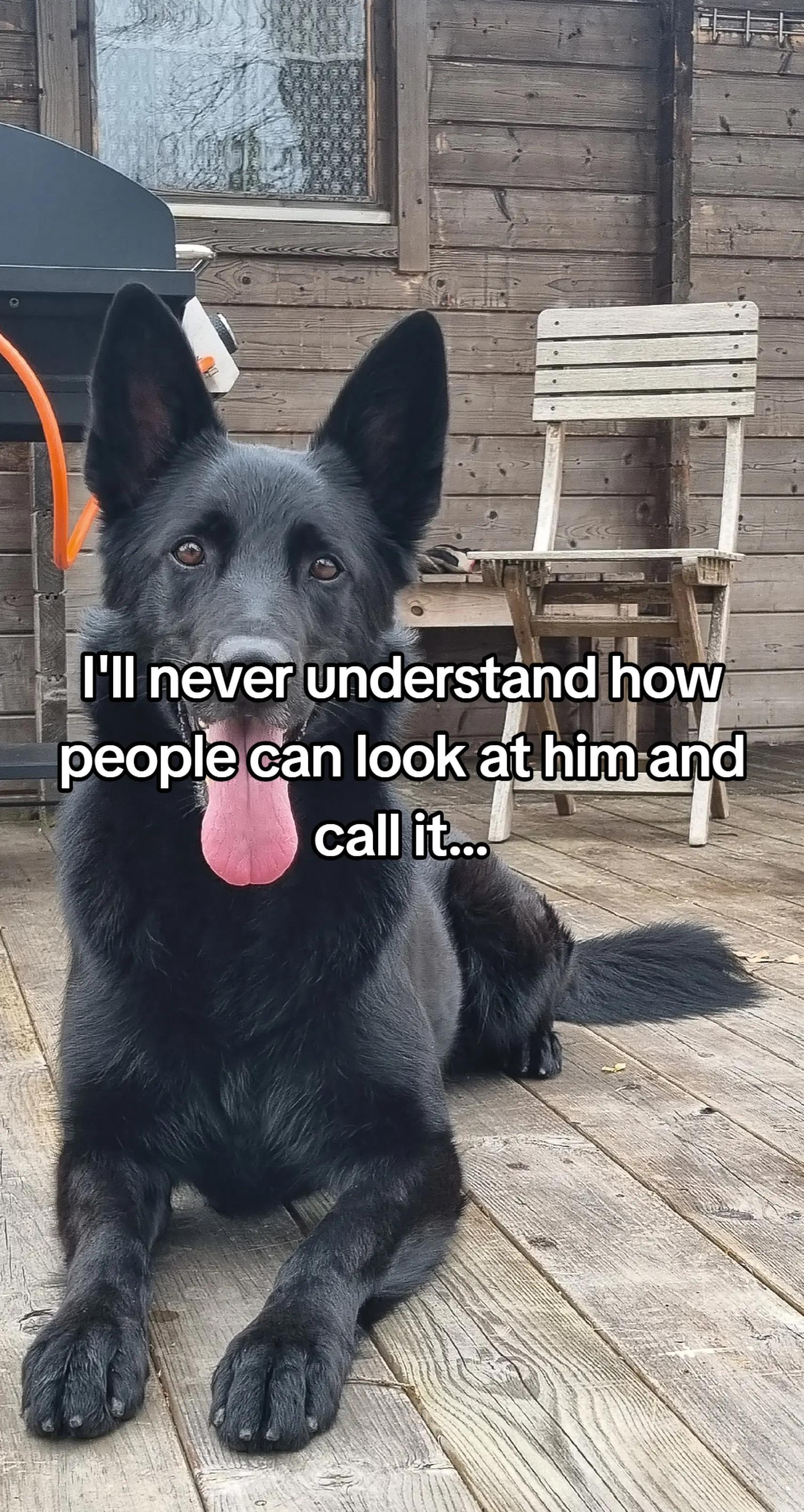 @offbrandgsd