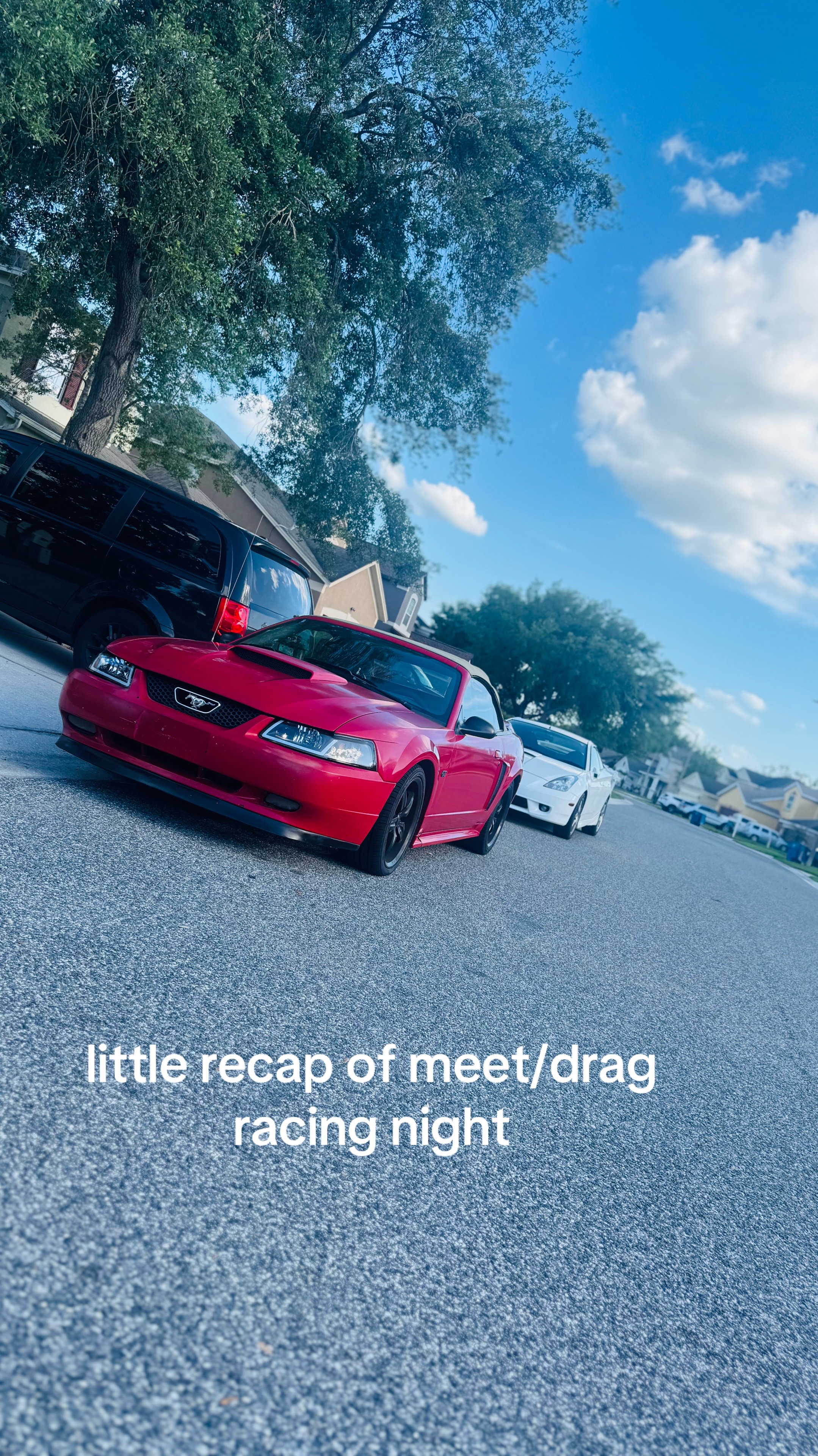 @that.new.edgemustang