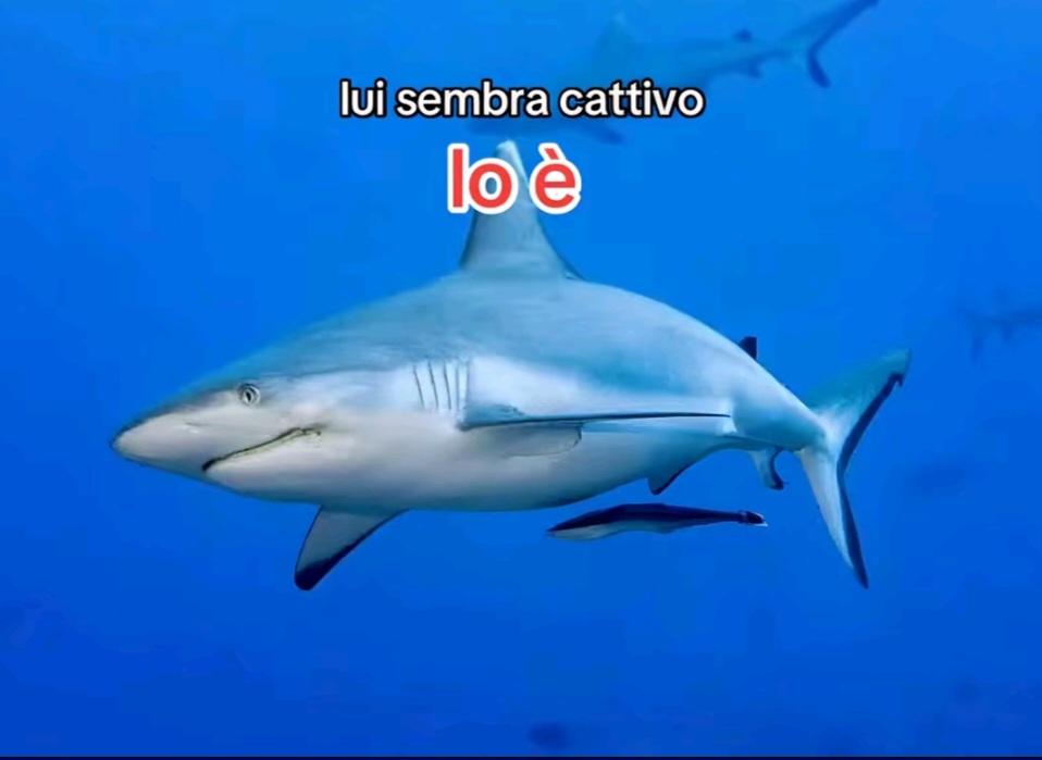 @๐๐๐๐๐ฬ