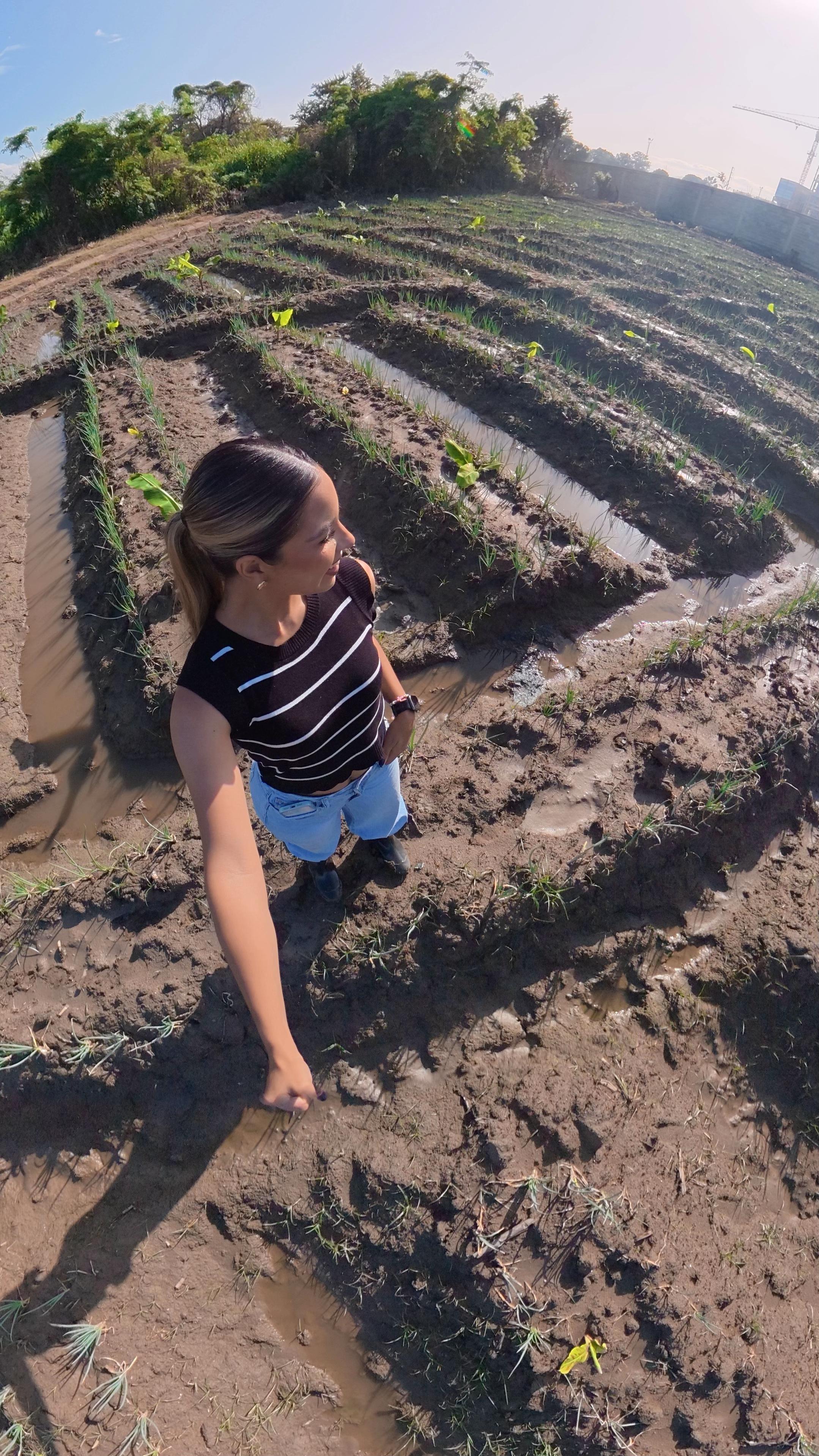 @soyagricultor