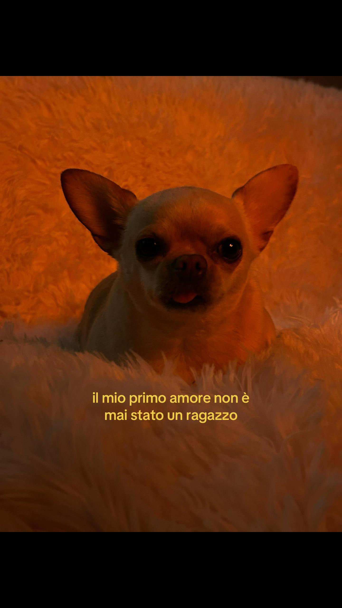 @julie