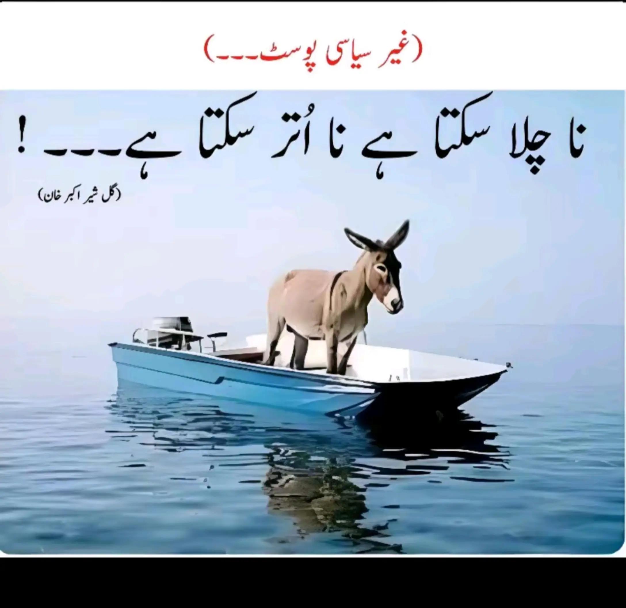 @میاں صاحب ❤️❤️