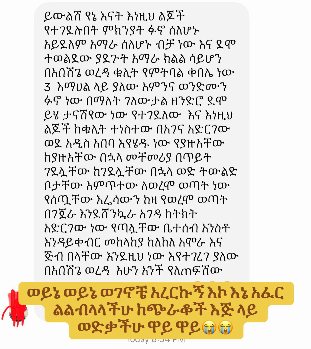 @Eyerusalem Mekonnen