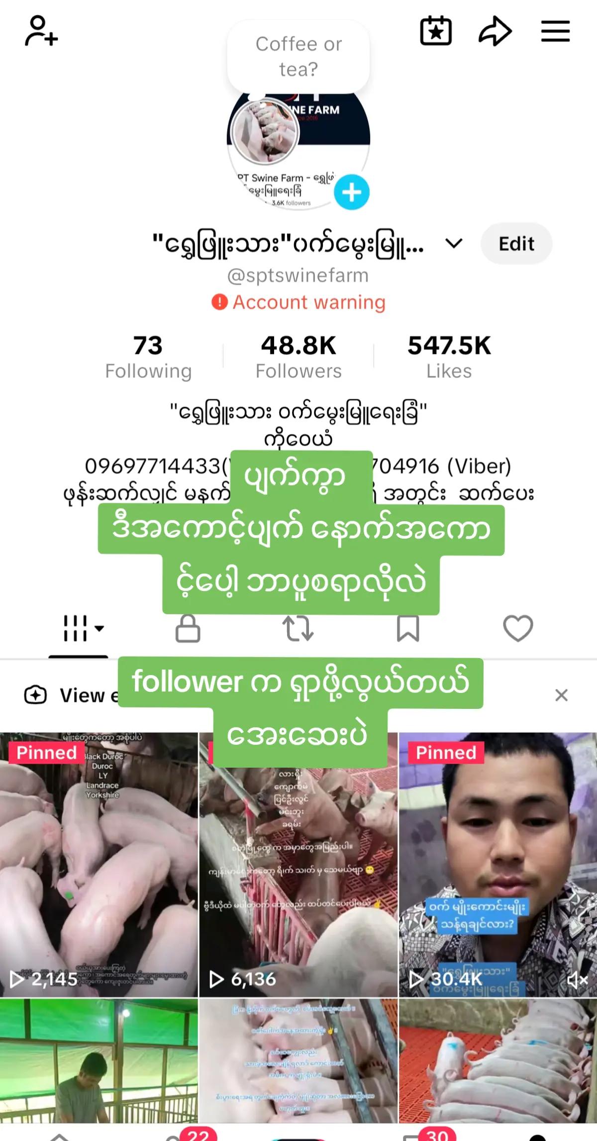 @"ရွှေဖြူးသား"၀က်မွေးမြူရေးခြံ