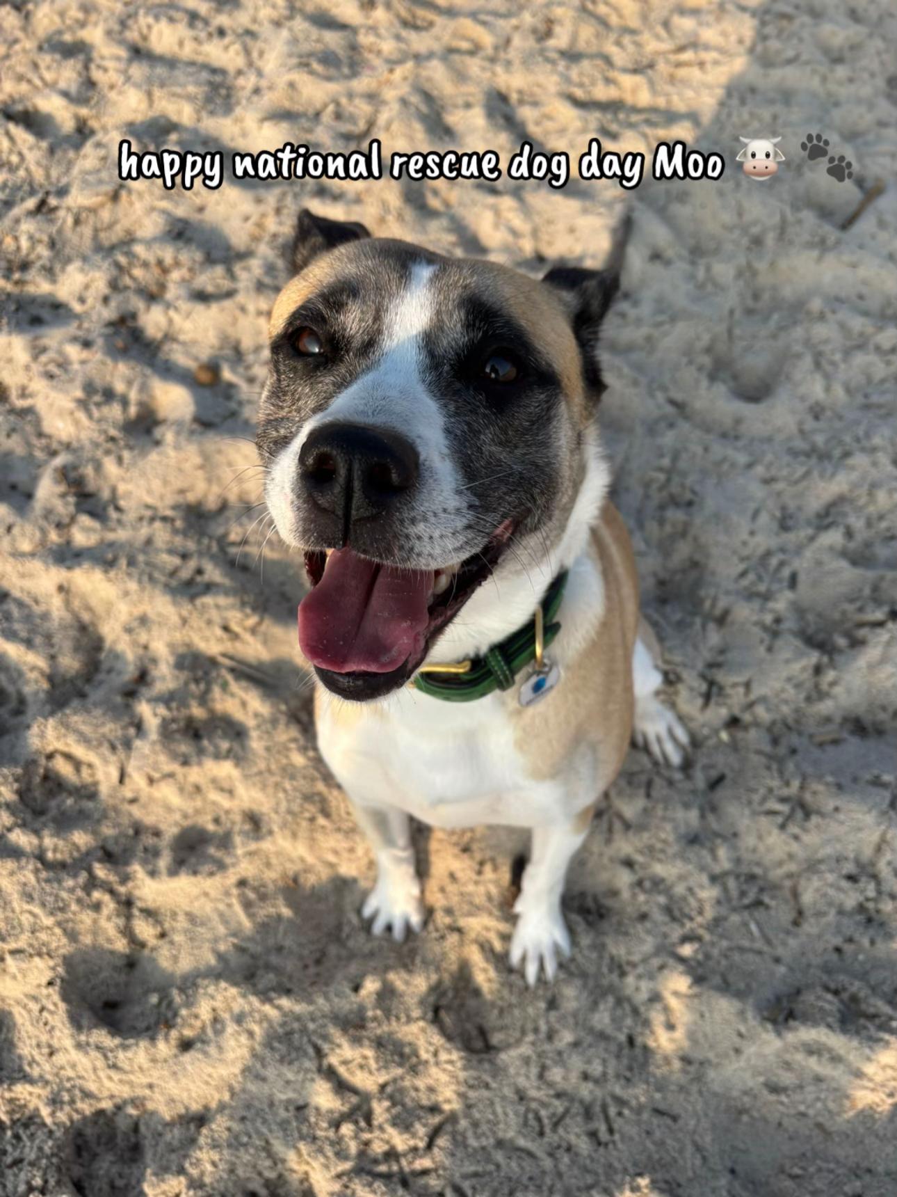@Moo & Robyn 🐾 | UGC Creator