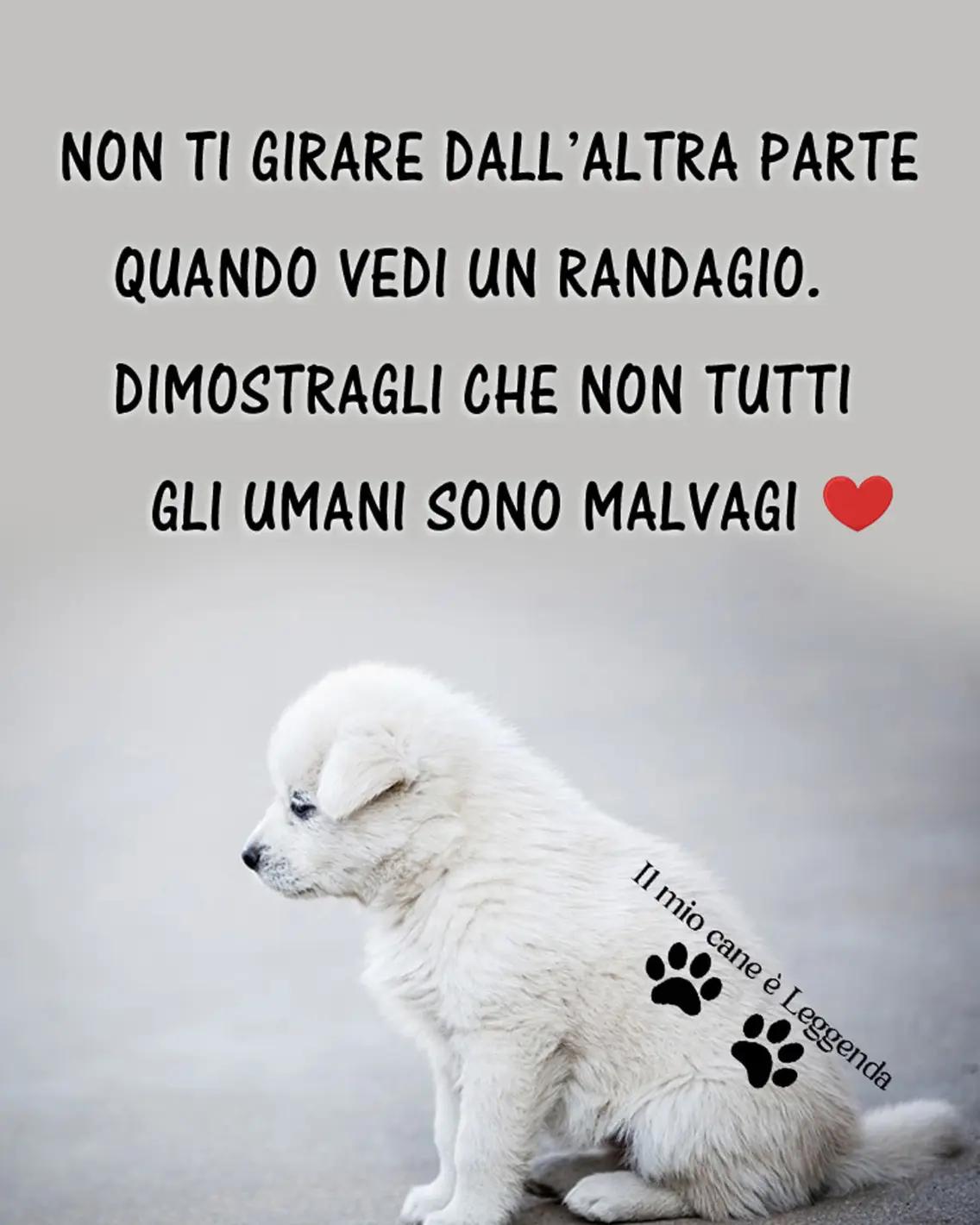 @Raffaele