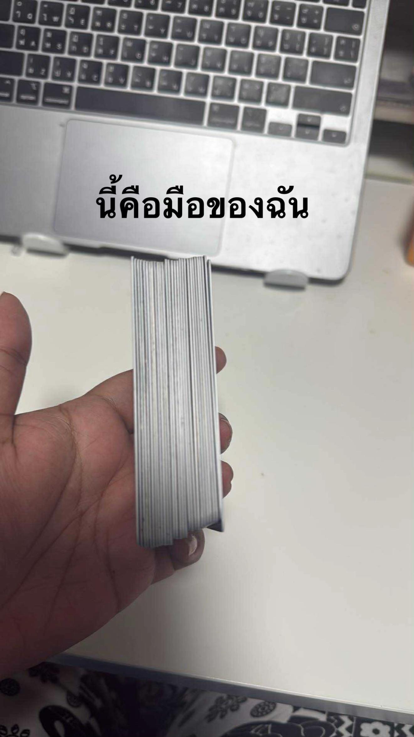 @ᗩᖇᘉᗩ ₍ ᐢ.ˬ.ᐢ₎