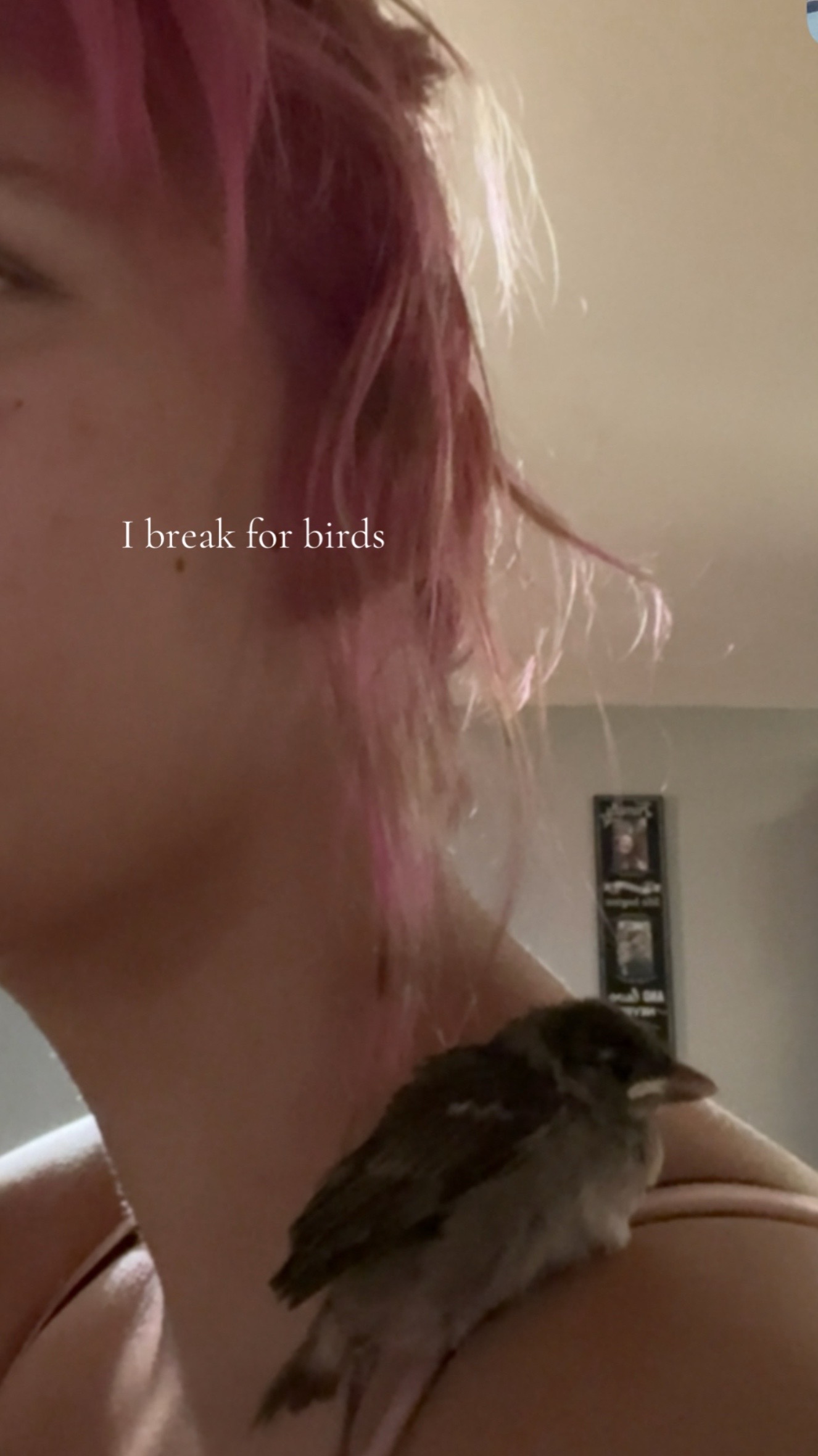 @kali 🎀