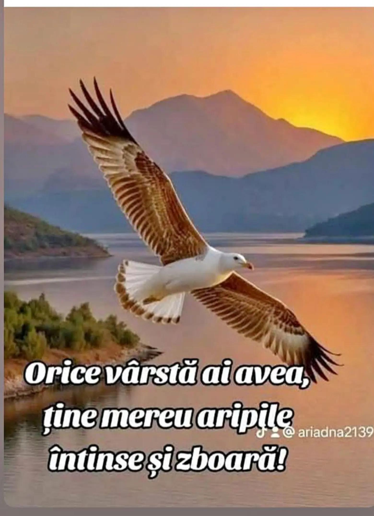 @maria