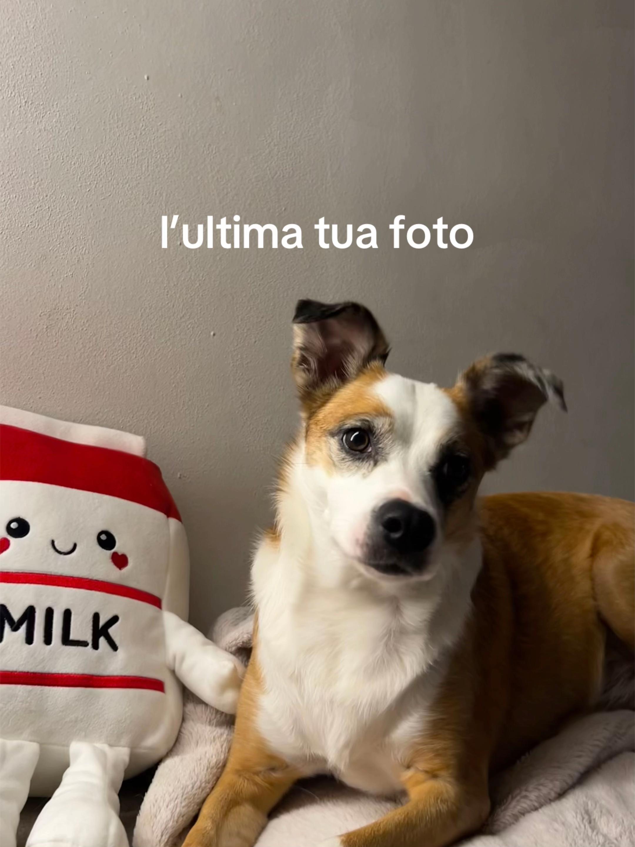 @gin🪽