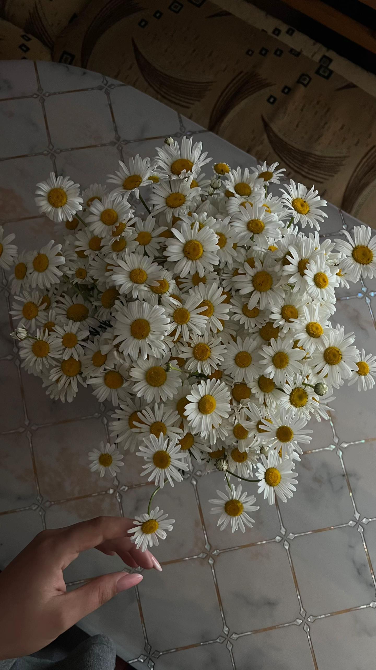 @🌟