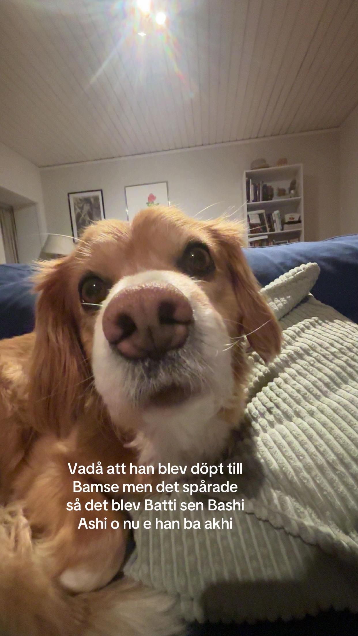 @Ebba