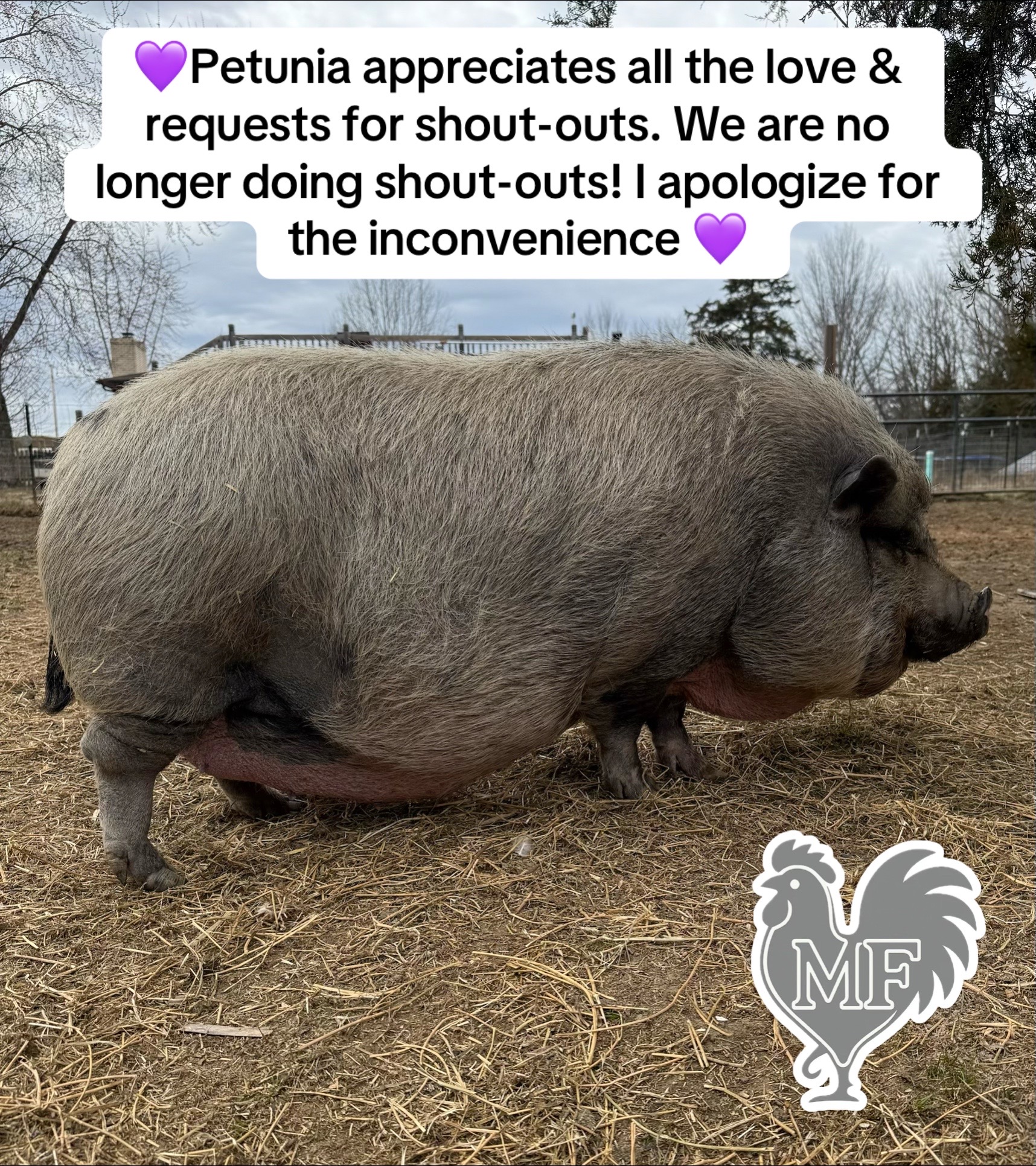 @merrickfarmstead