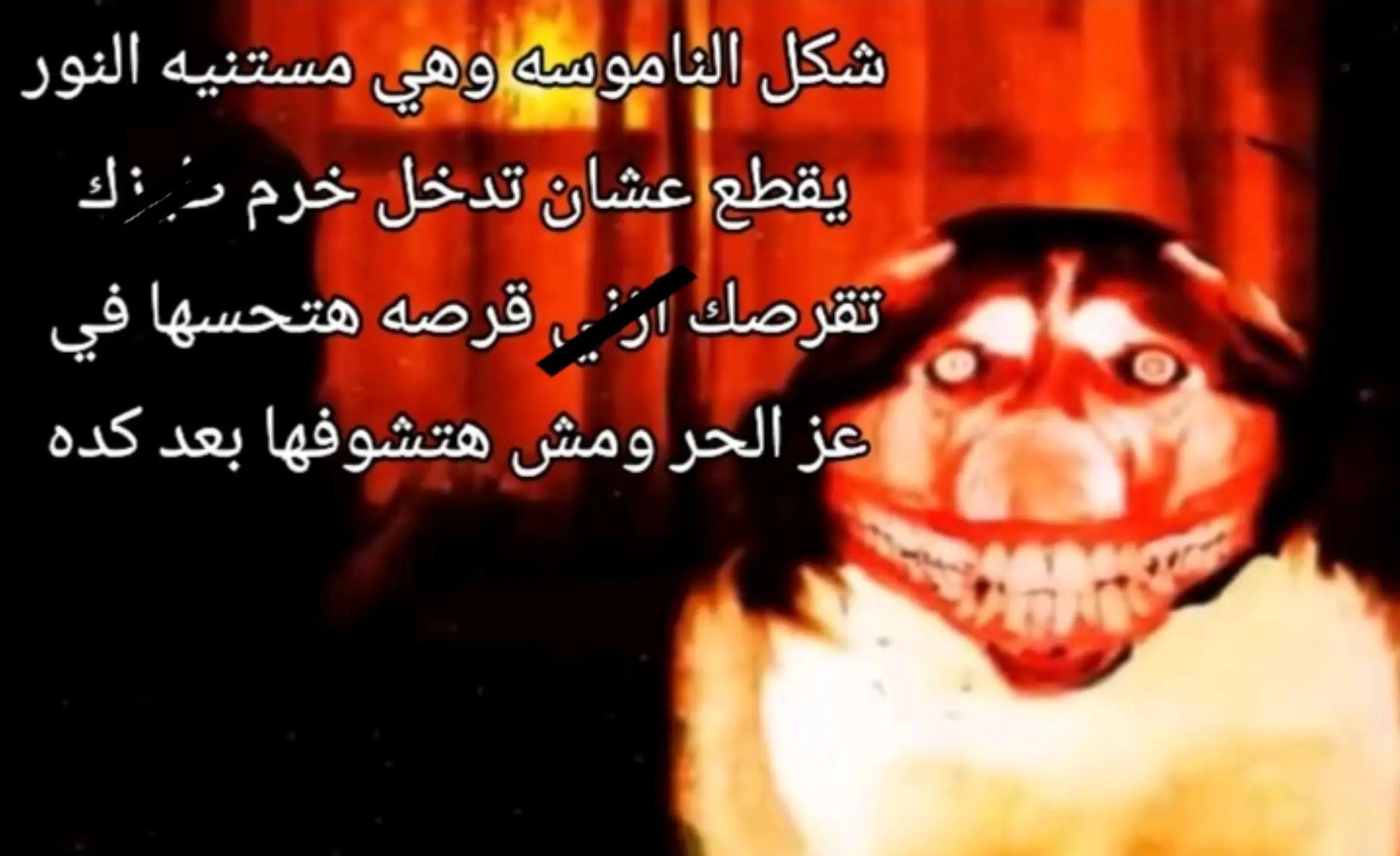 @شوكه مطبخ