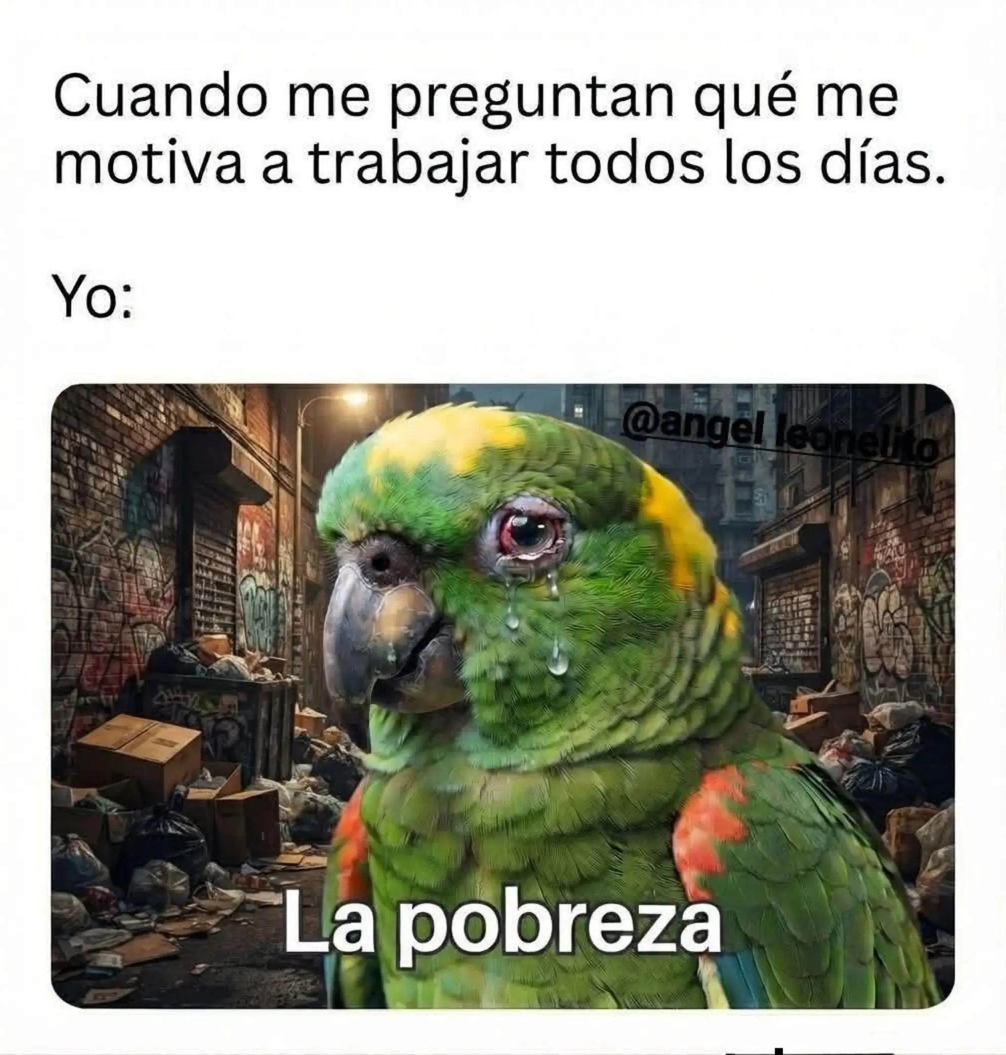 @luly_leiv11