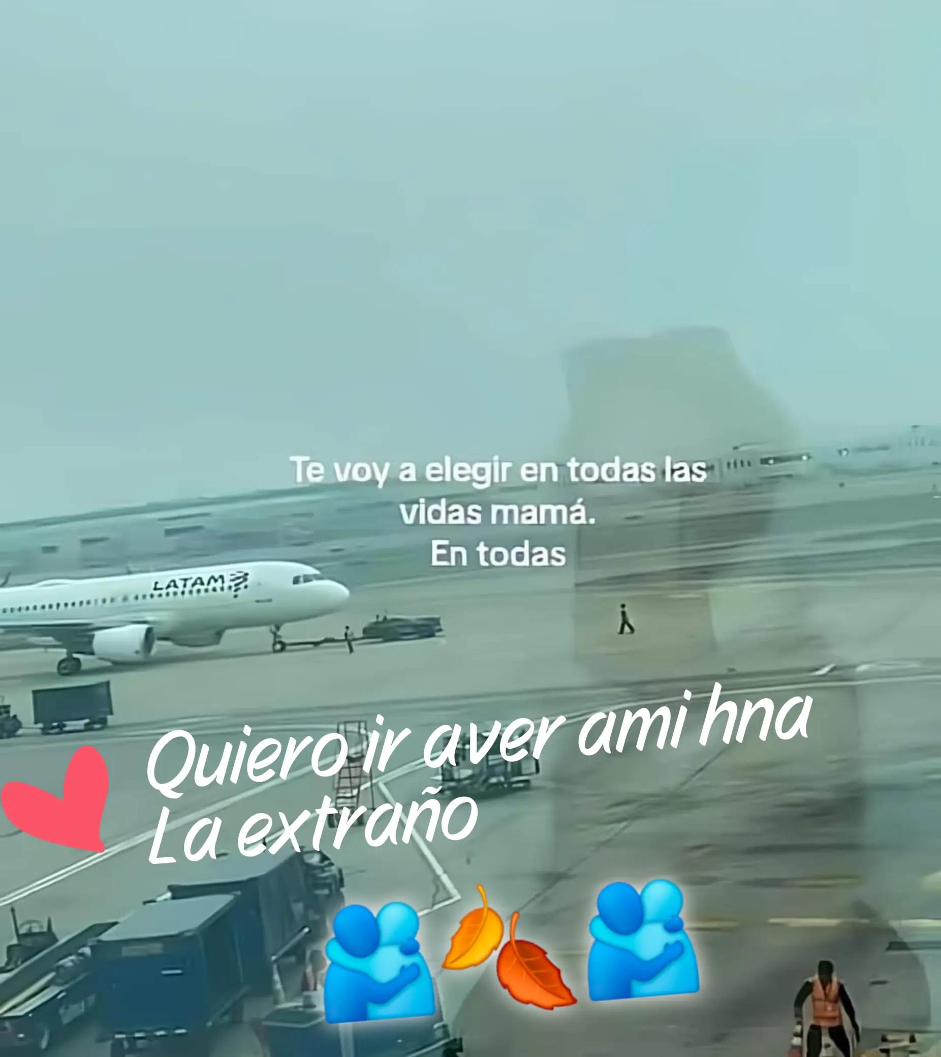 @🤍🌠LÛZ🐢✡️🦄