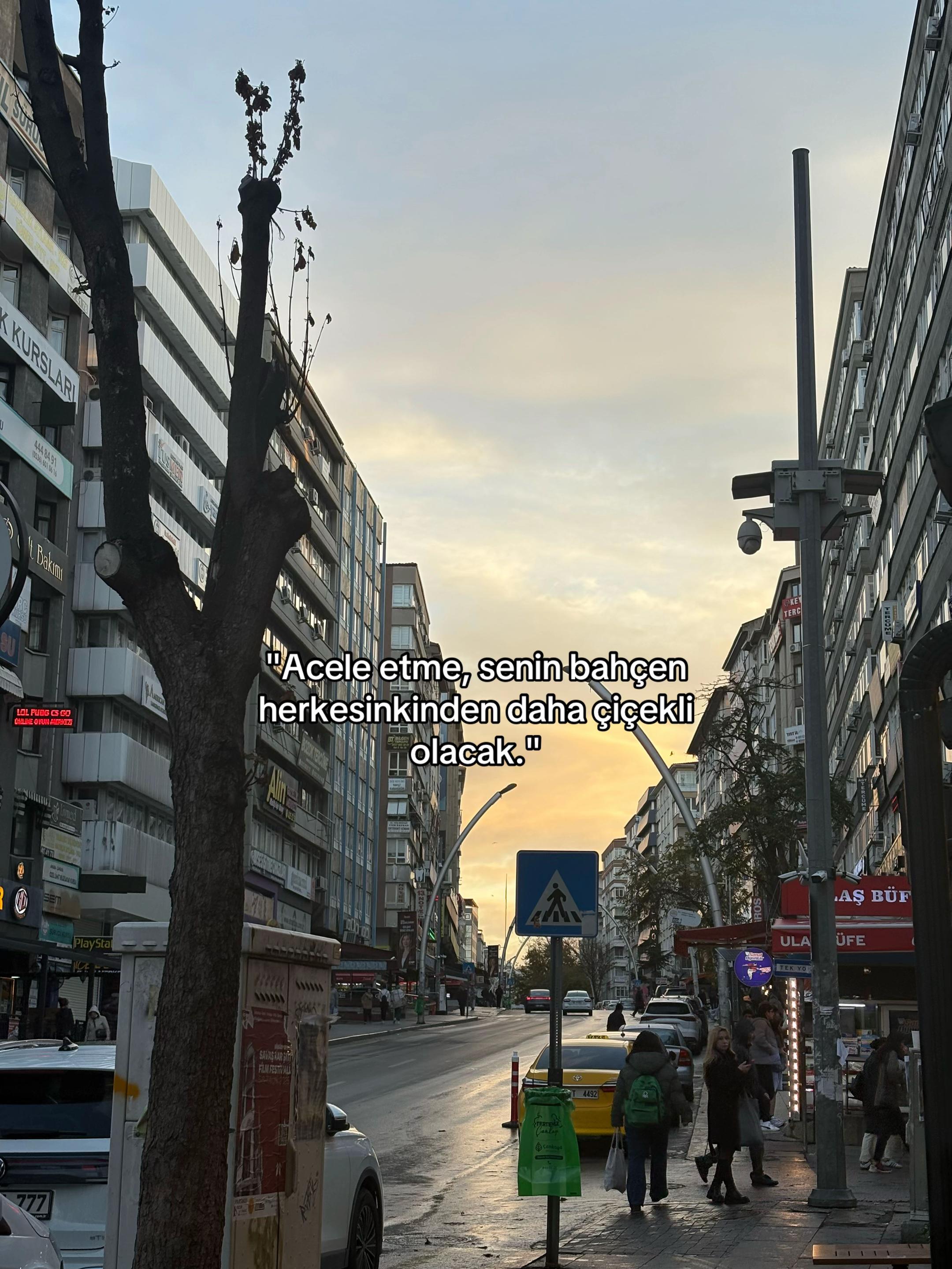 @Tefekkur