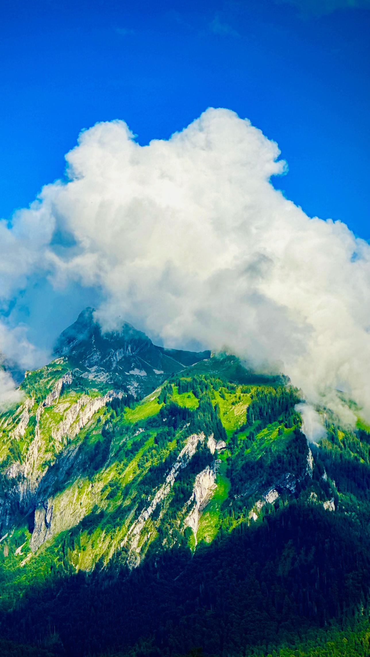 @Swiss_Vibe 🇨🇭