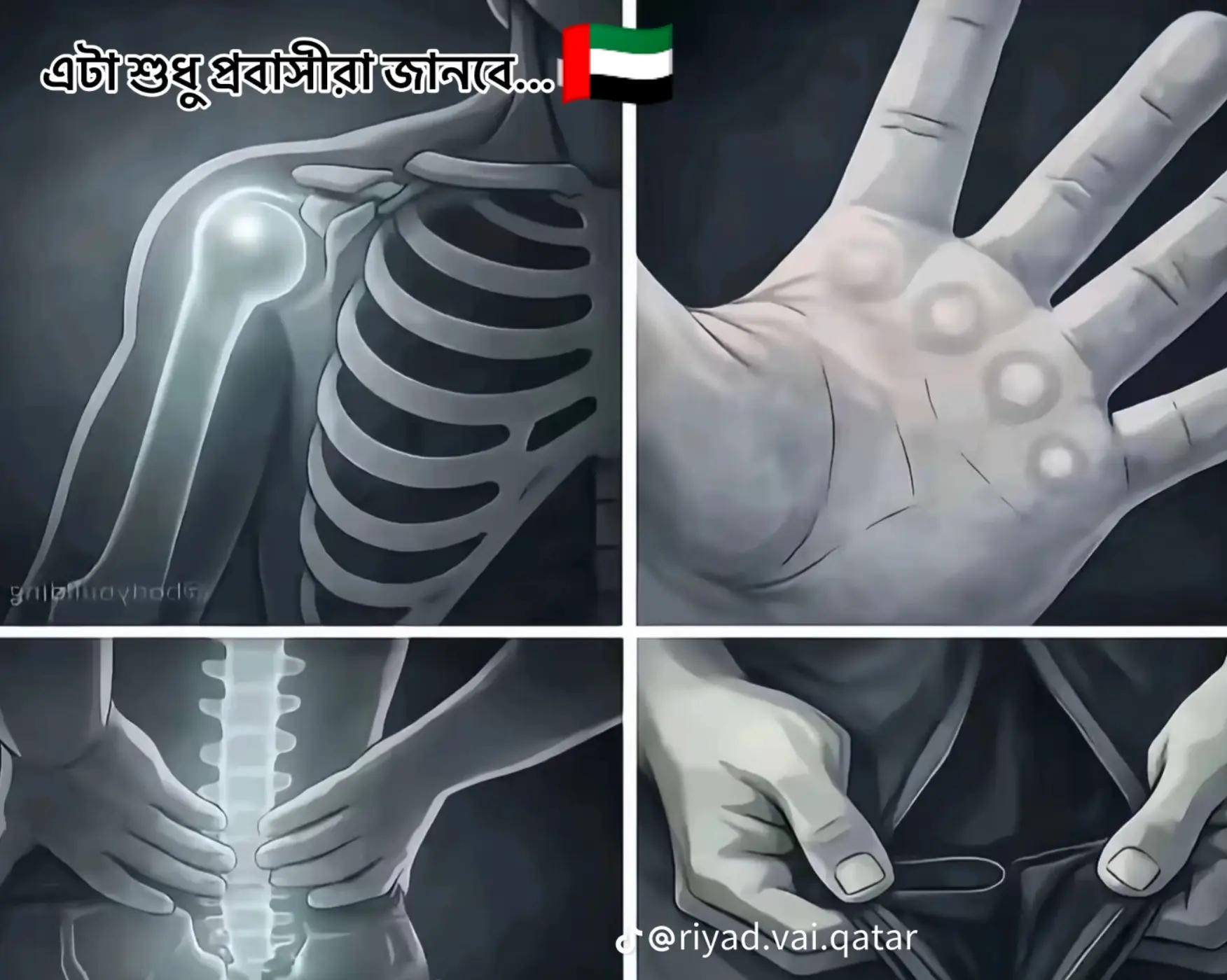 @🌸💐محمد ناظم خان🇦🇪🇧🇩🌴🦅