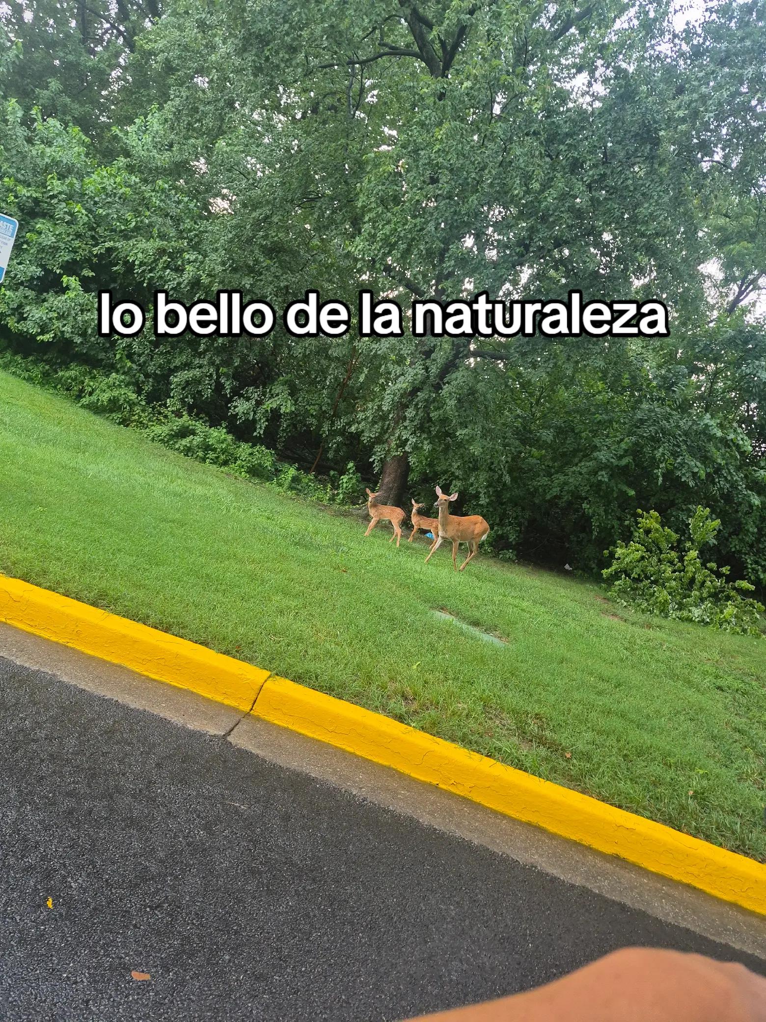 @FERNANDOJR🧔SÁNCHEZ🐺PÉRE🏴☠️