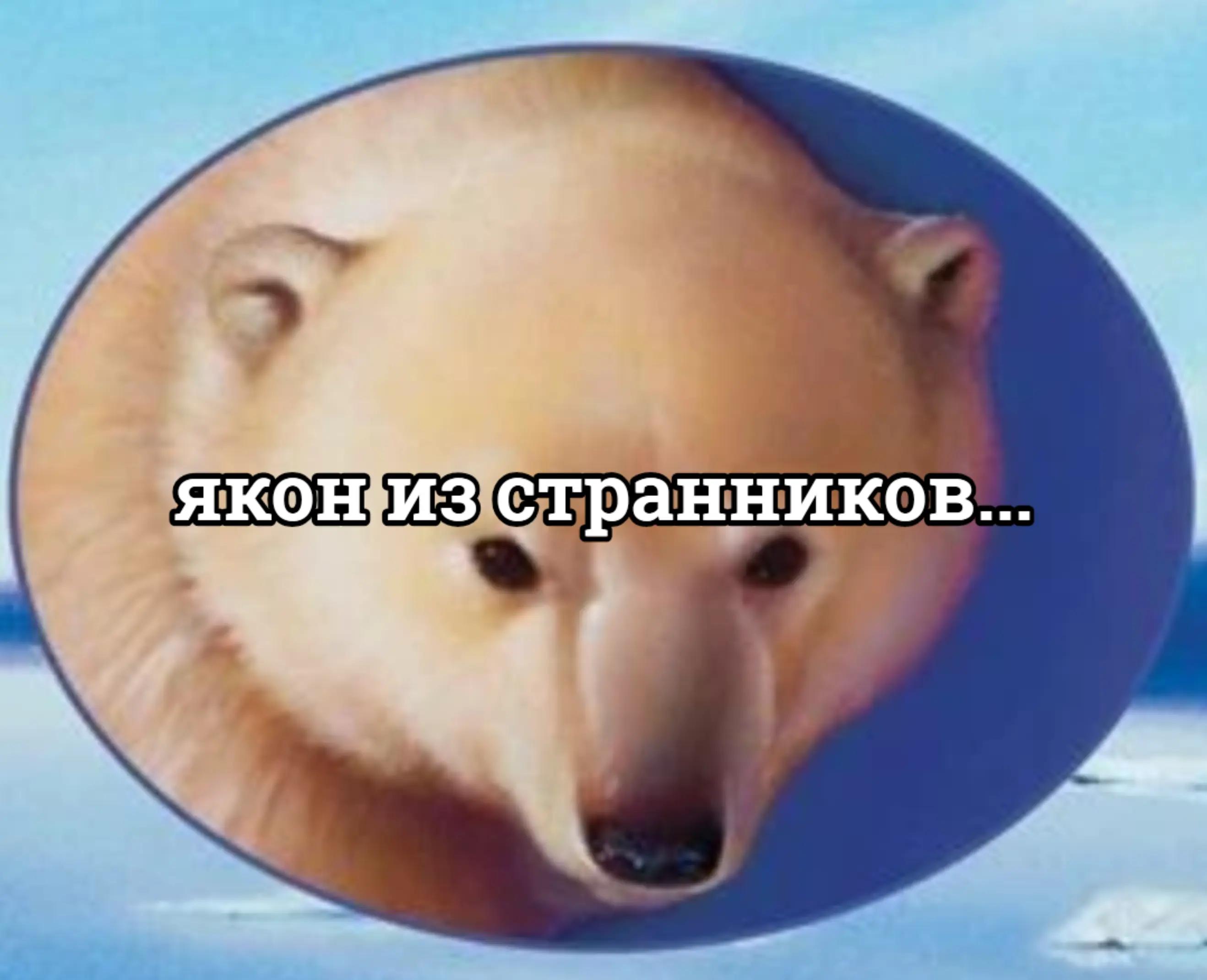 @Шарф ☮️.