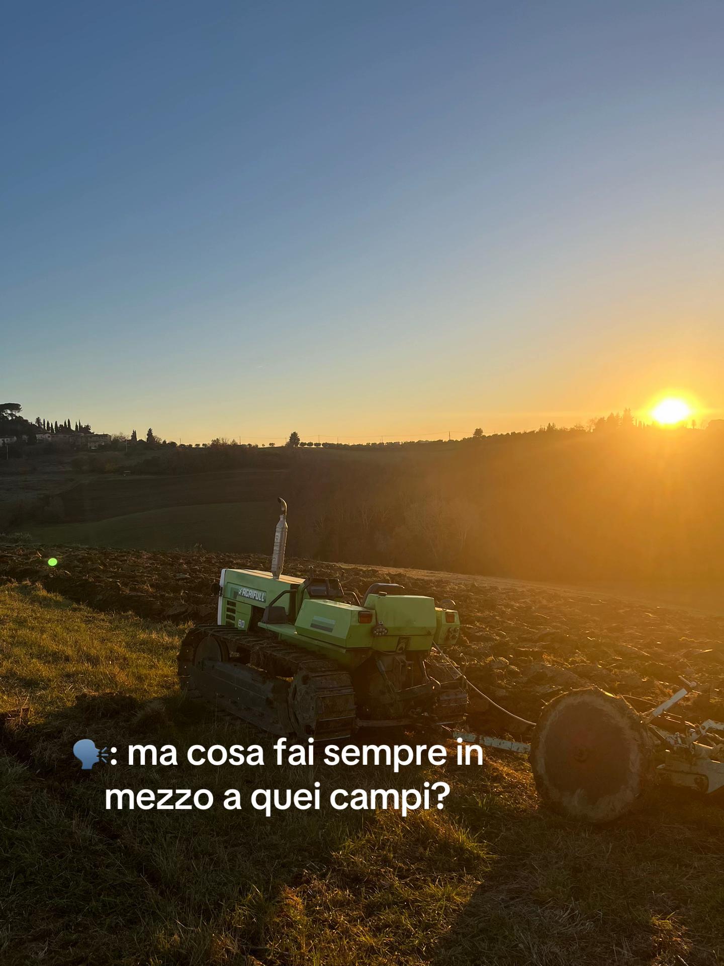 @piersi