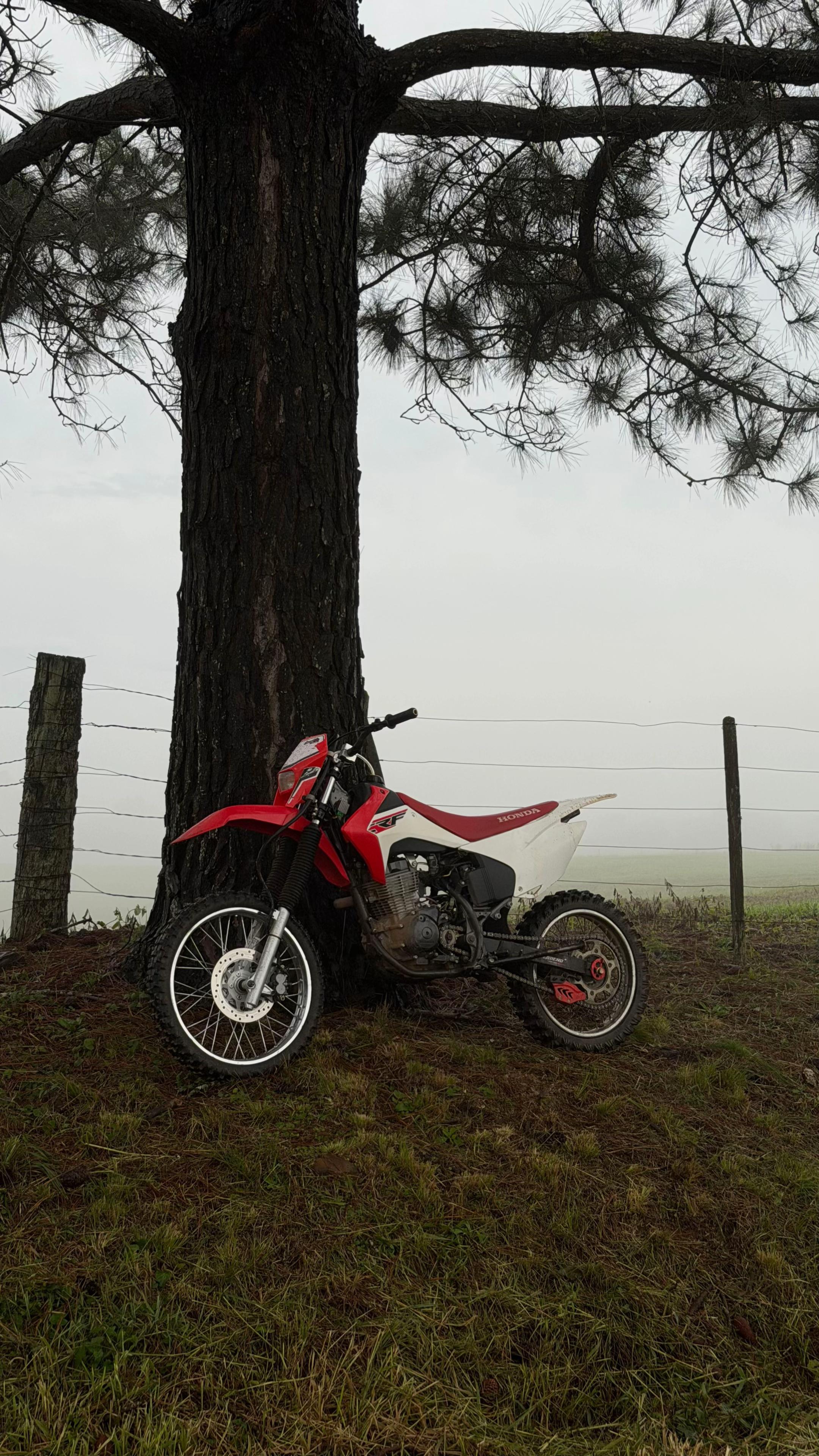 @MessiXmotard