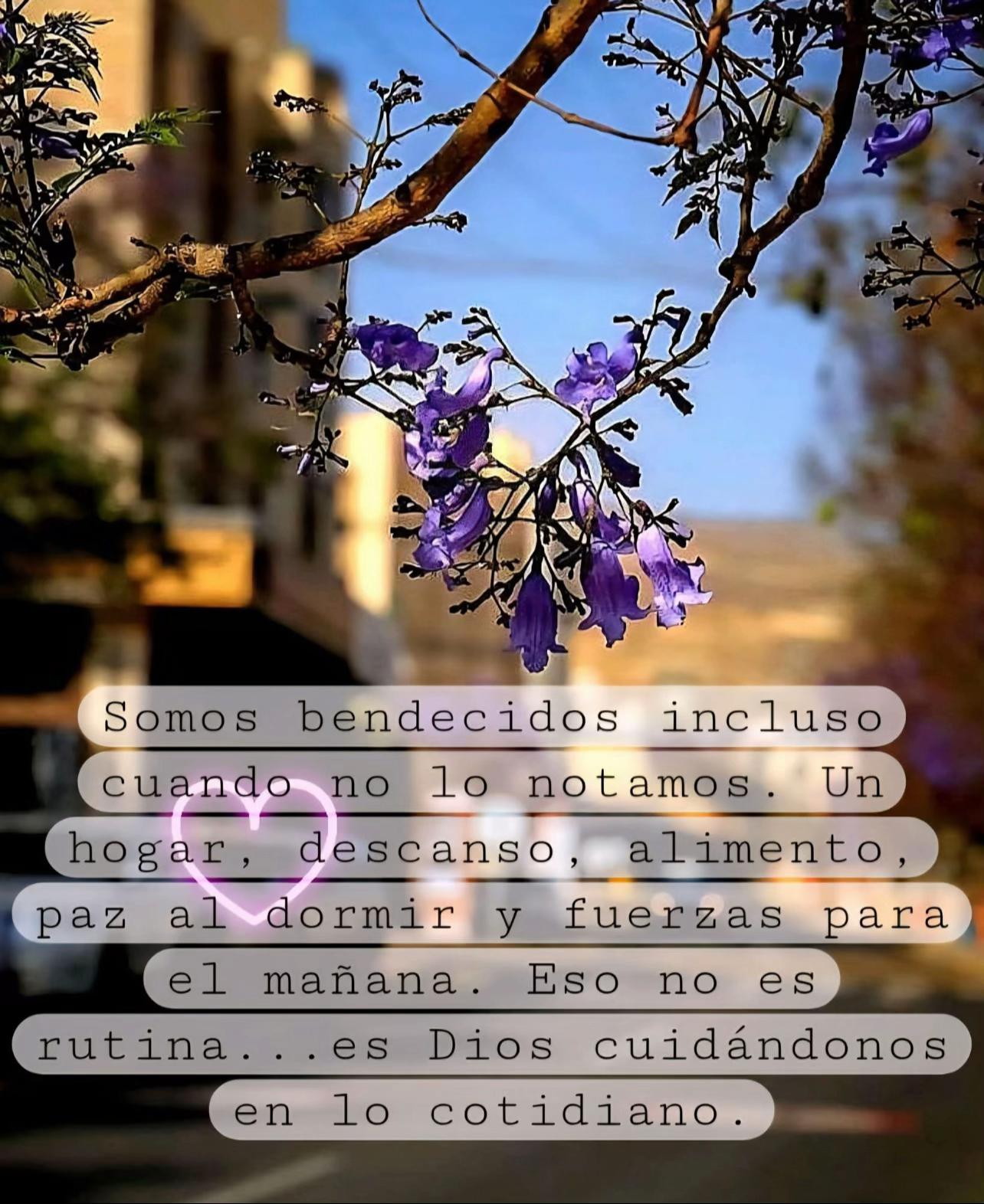 @Isis Herrera