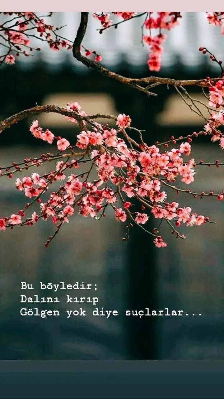 @Yorgun_01